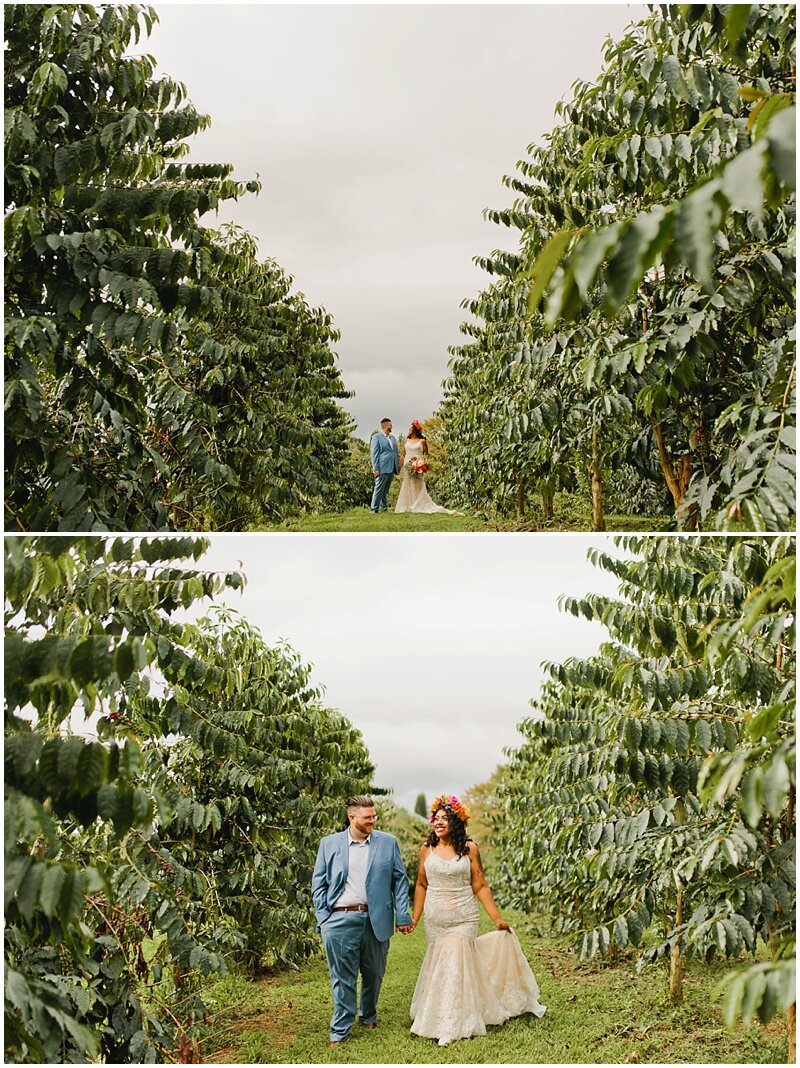 Sunshower Farms wedding Hawaii 47.JPG