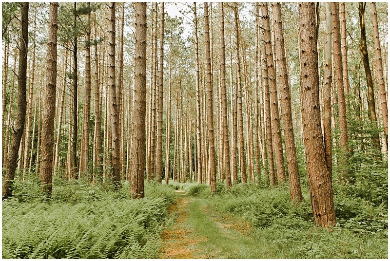 intimate pa forest wedding 7.JPG