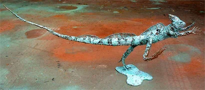 BasiliskLizard.jpg