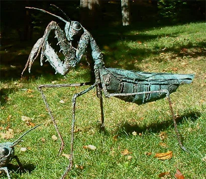 PrayingMantis.jpg