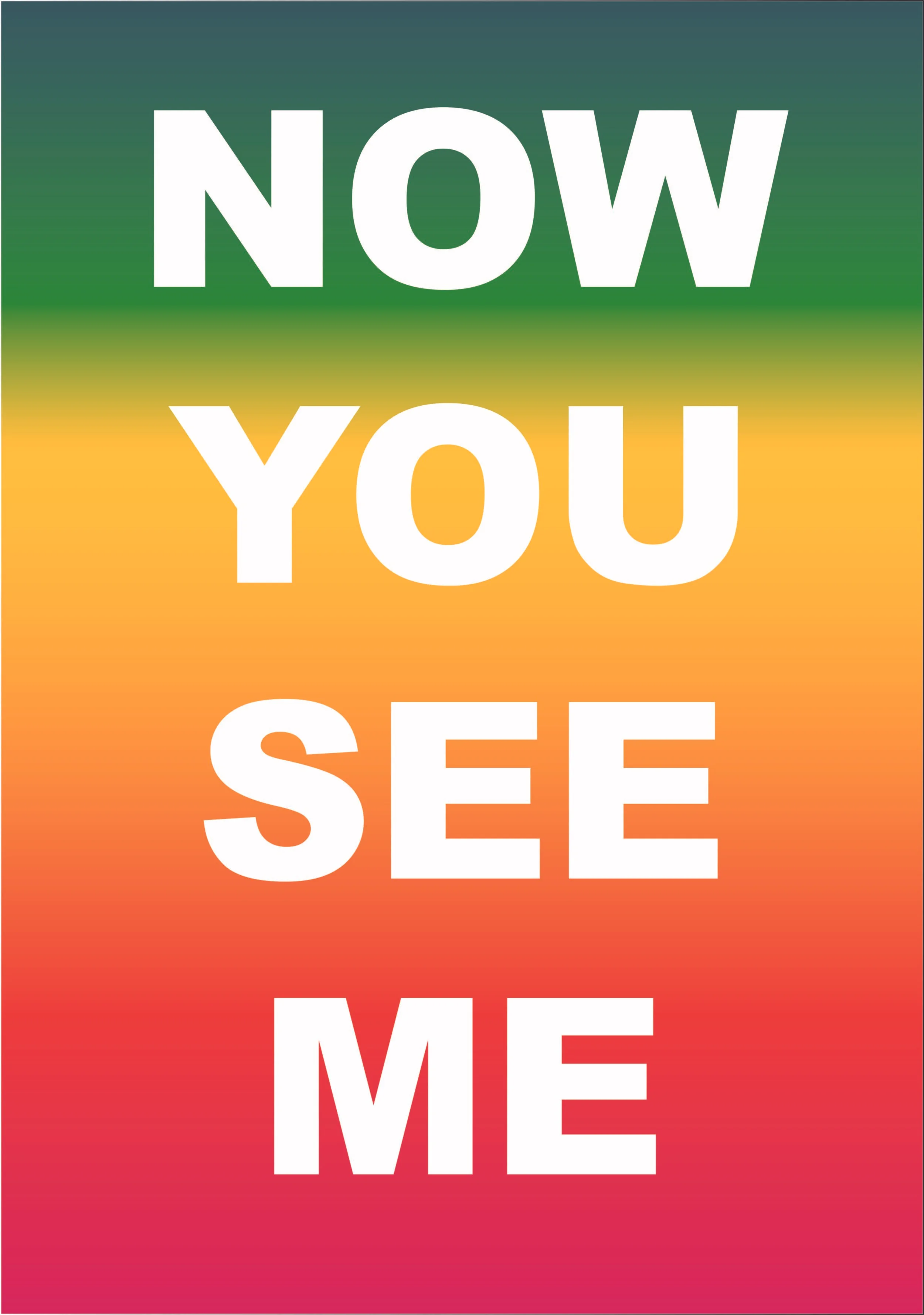 Now You See Me