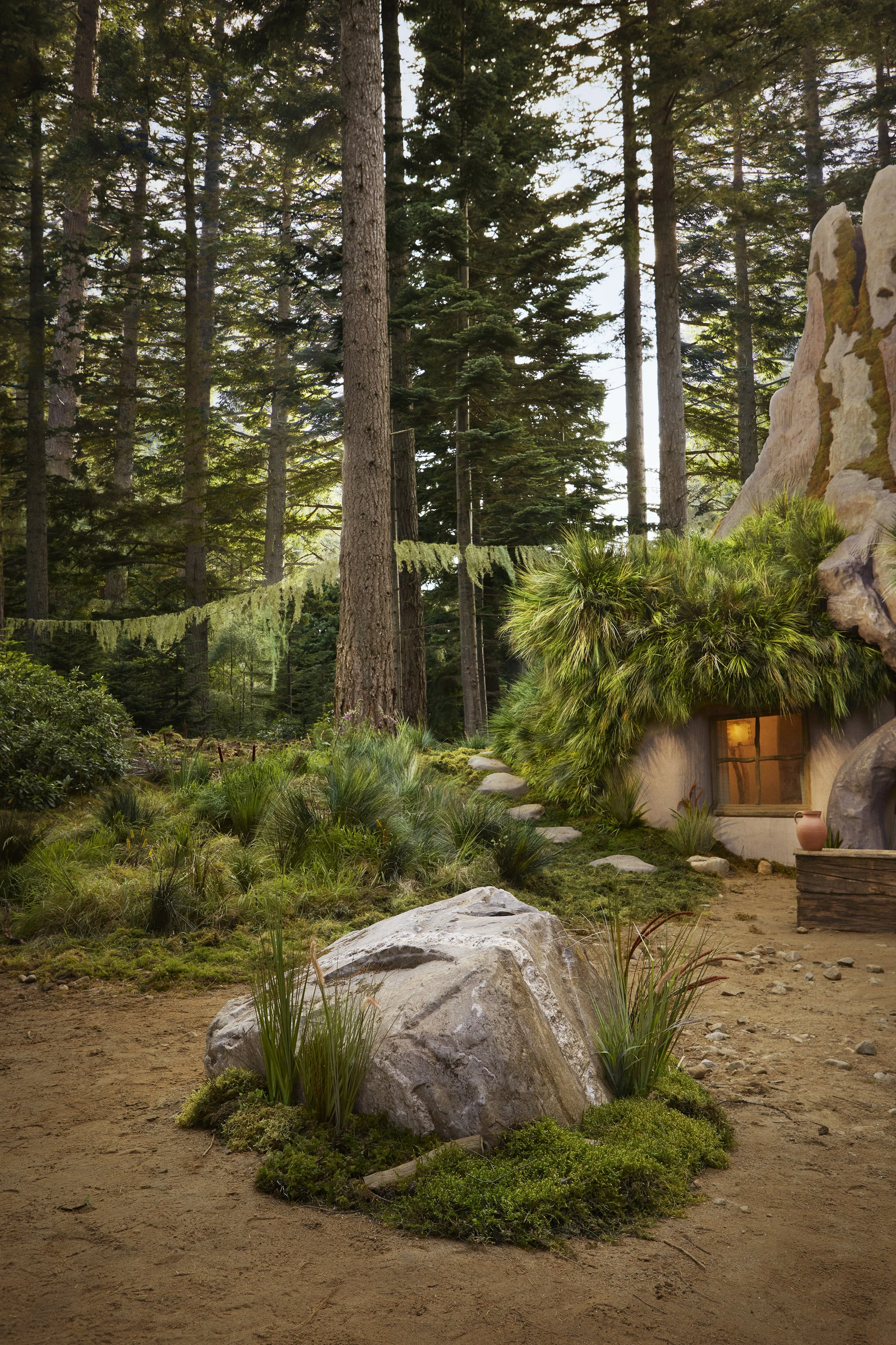 10 - Shrek Airbnb - Boulder - Credit Alix McIntosh.jpg