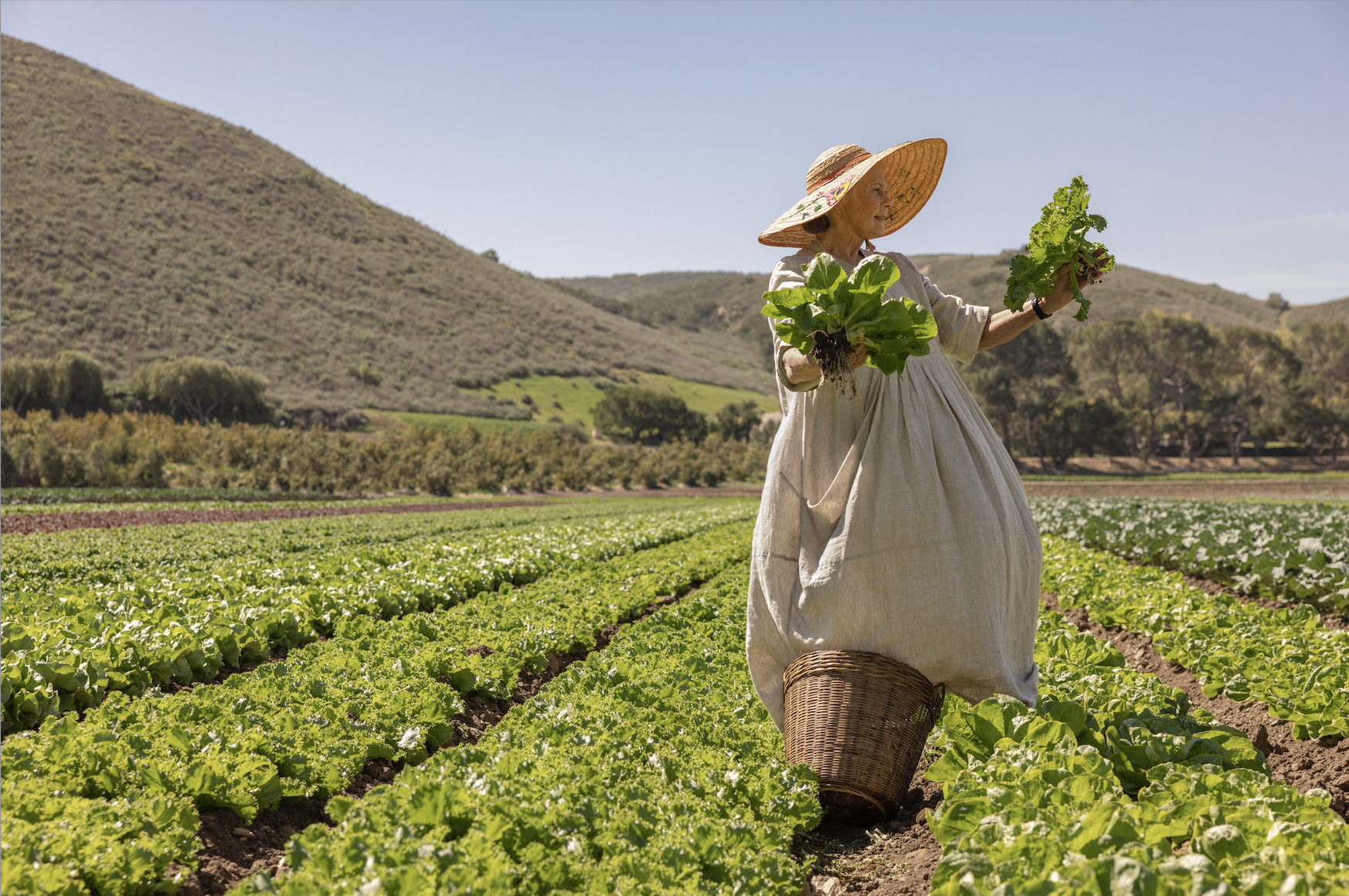 Screenshot 2025-04-23 at 4.16.39 PM.png