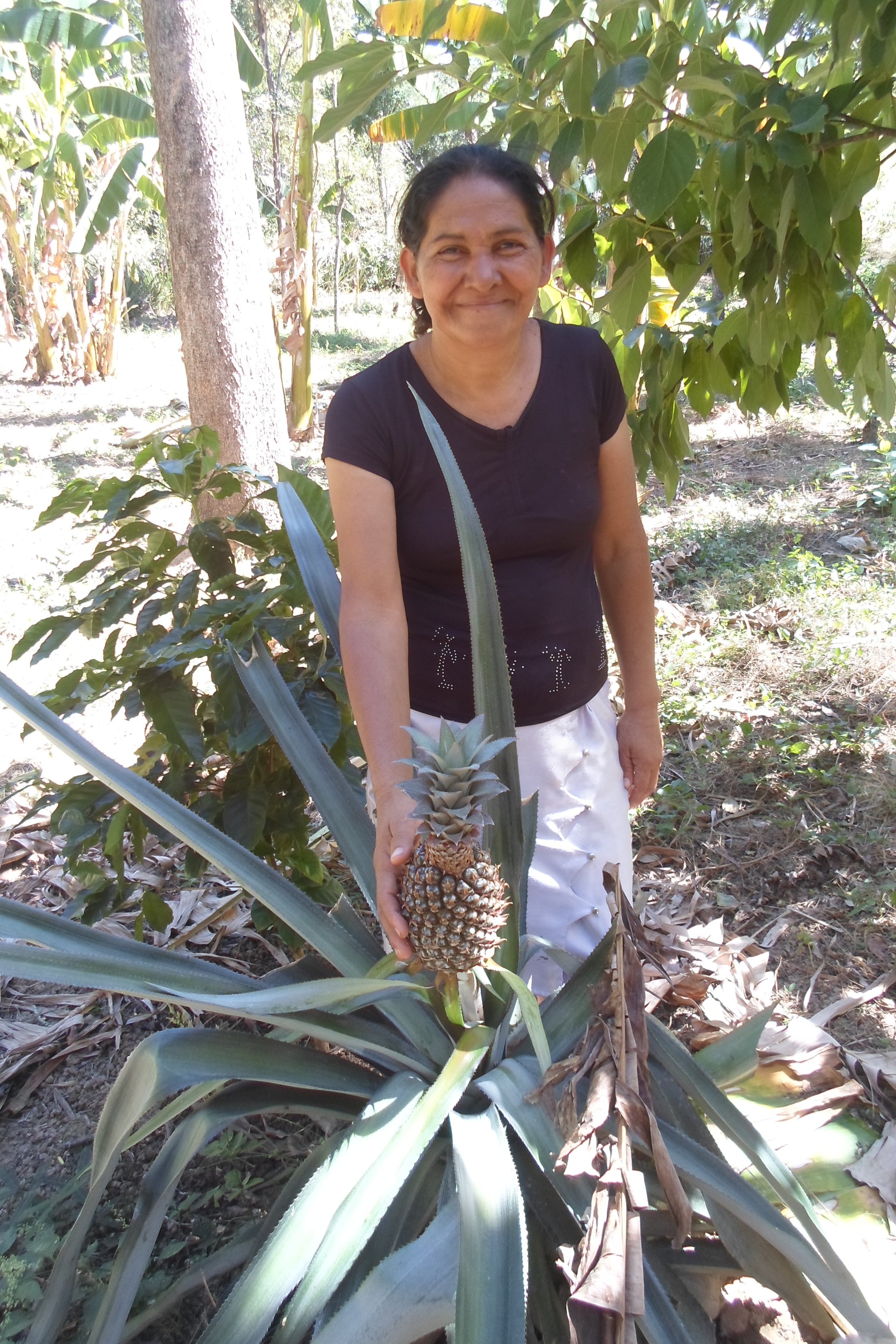 Woman in Jiñocuao, showing me her first pineapple plant