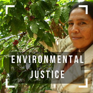 Environmental Justice.png