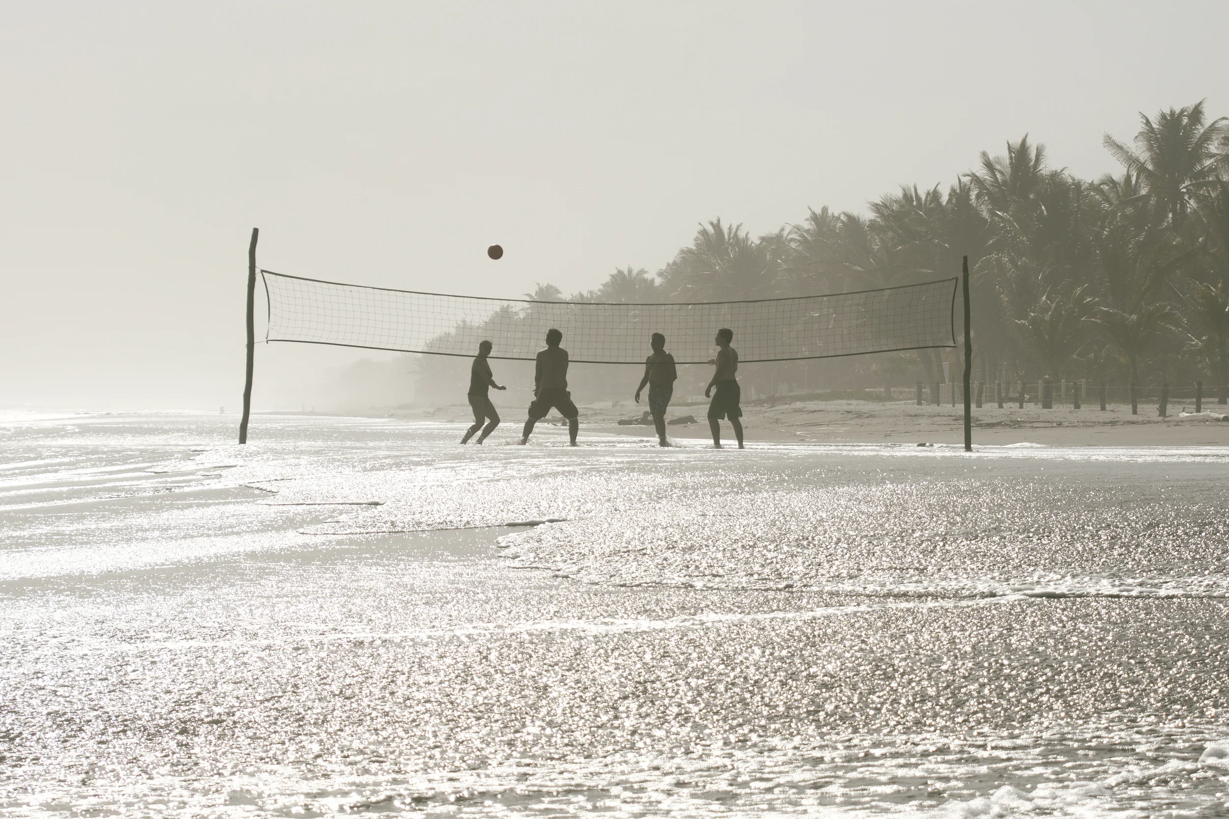 Volleyball