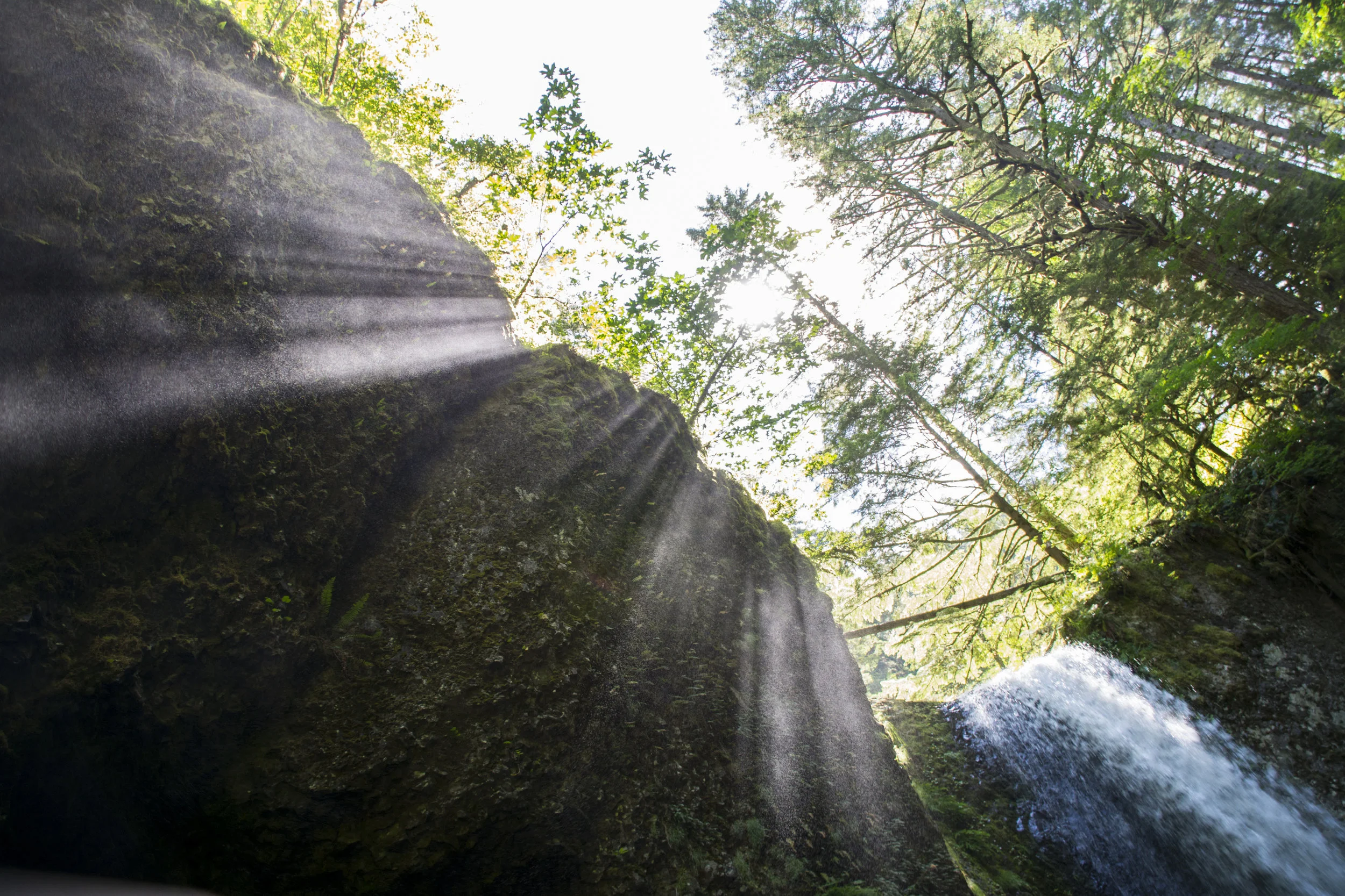  Wiesendanger Falls, Oregon; 2016 