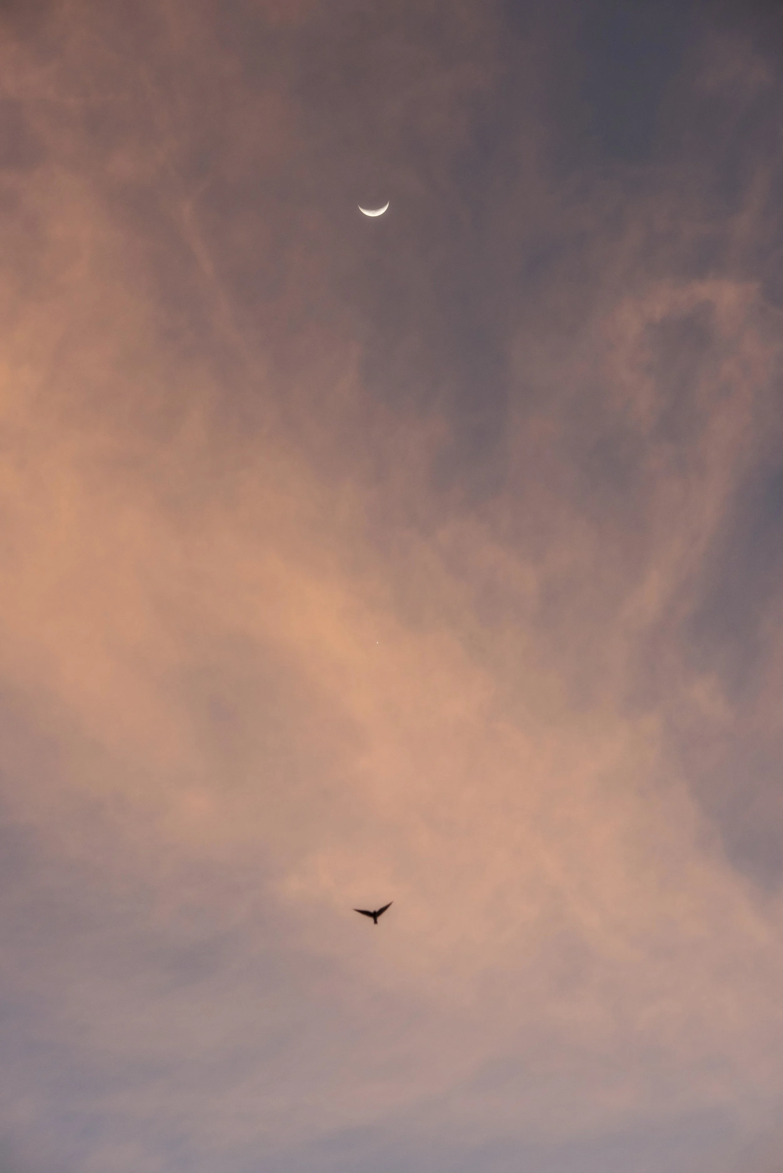  Antiguo Cuscatlan, El Salvador; 2017 