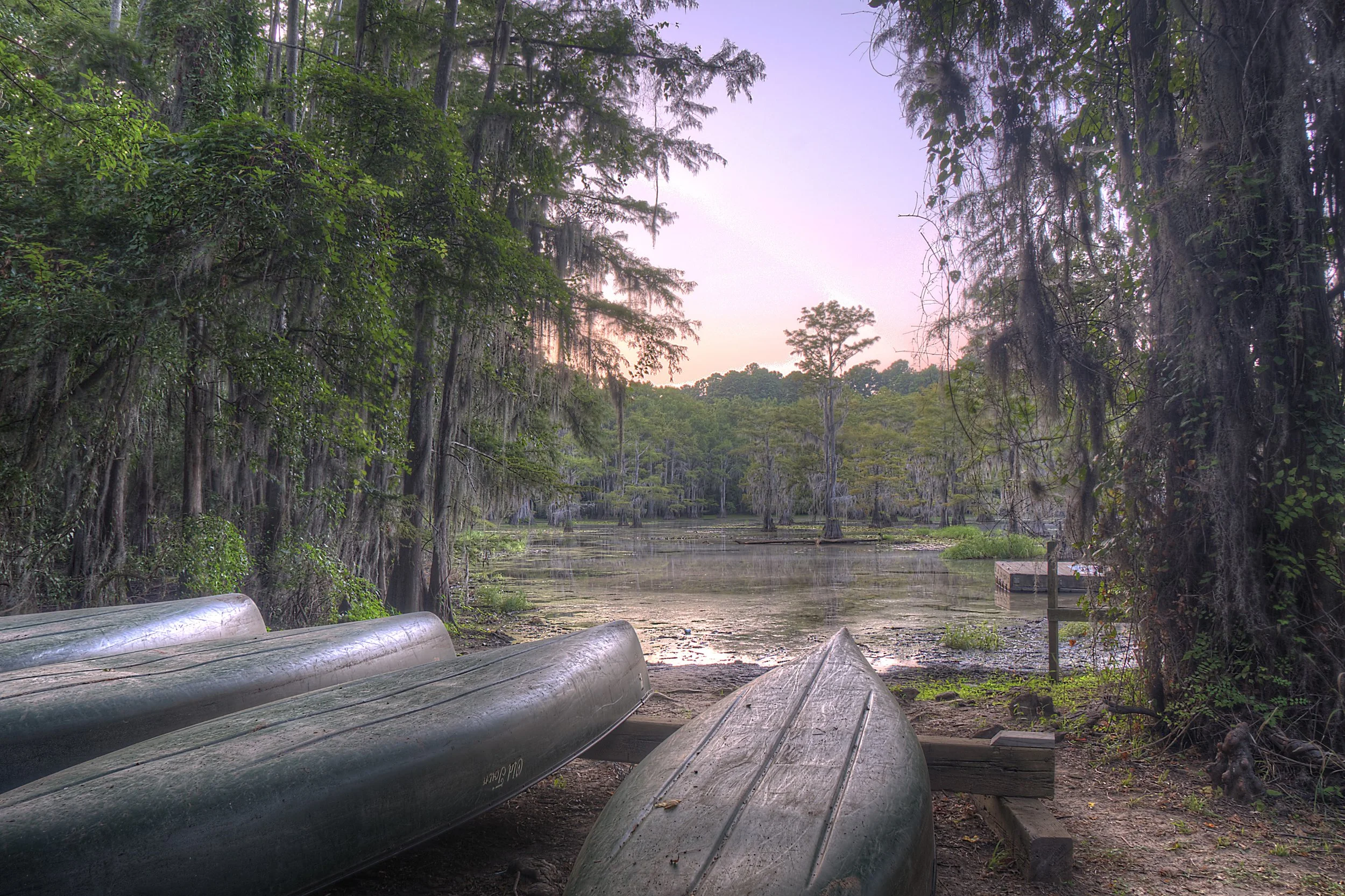 It turns out that swamps are scary. We camped a few dozen feet from this spot, and I learned that swamps are super noisy at night and it's hard to sleep next to them. FYI. (Caddo Lake, Texas; Sep 2014)