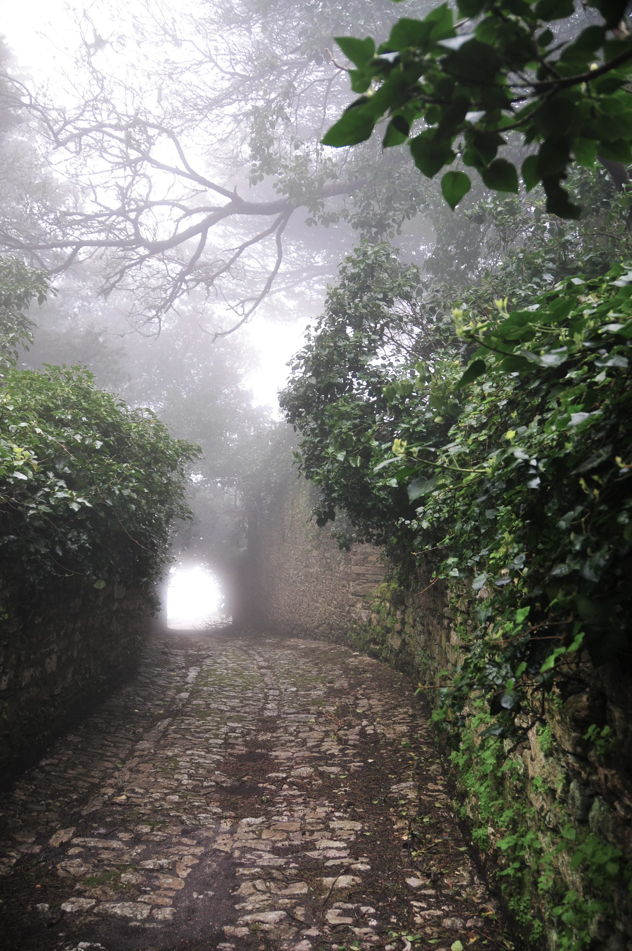 It looks like maybe this path leads to eternal salvation. But it just goes to the post office. (Erice, Sicily; Apr 2013)