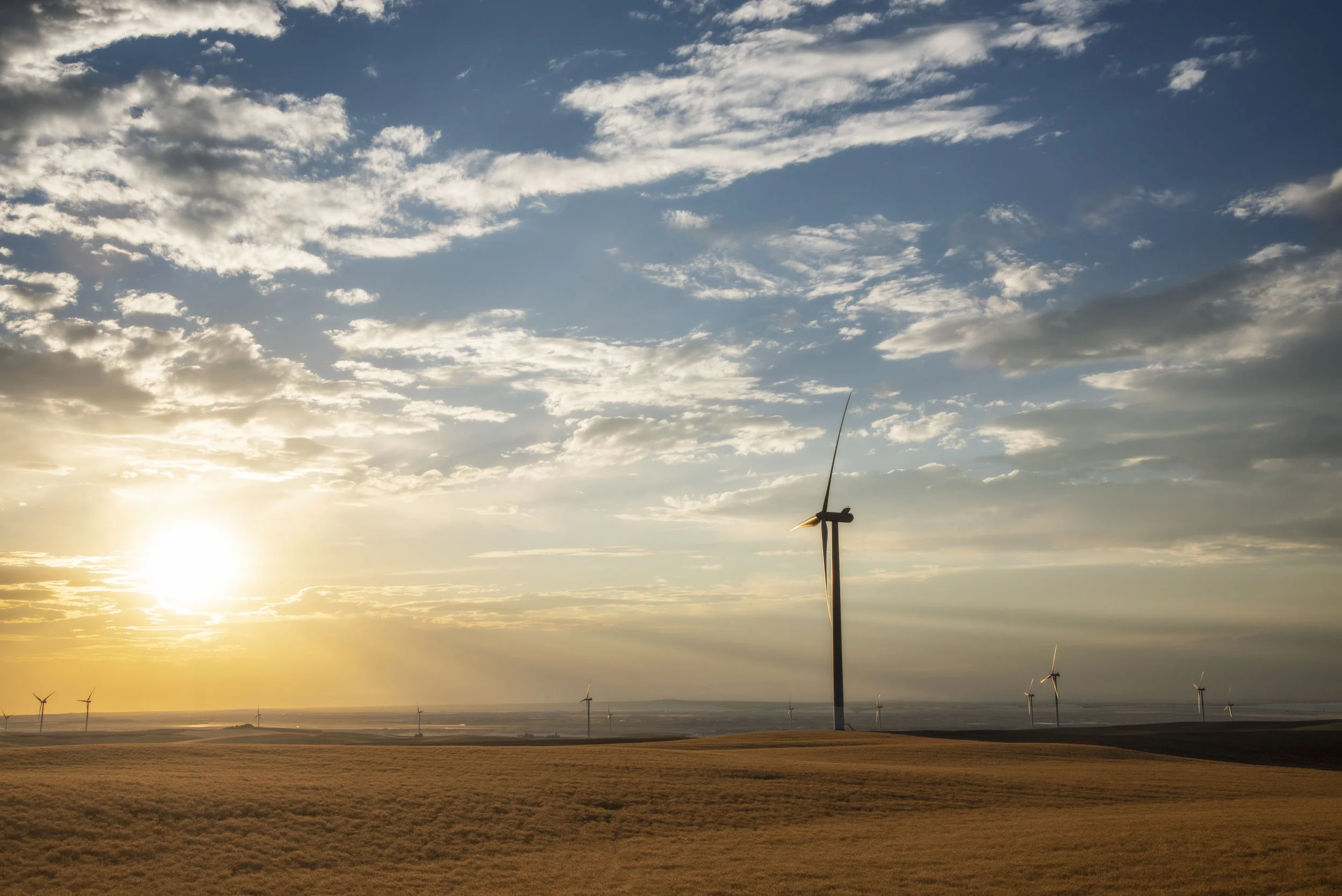 Windmills(6247)_PS.jpg