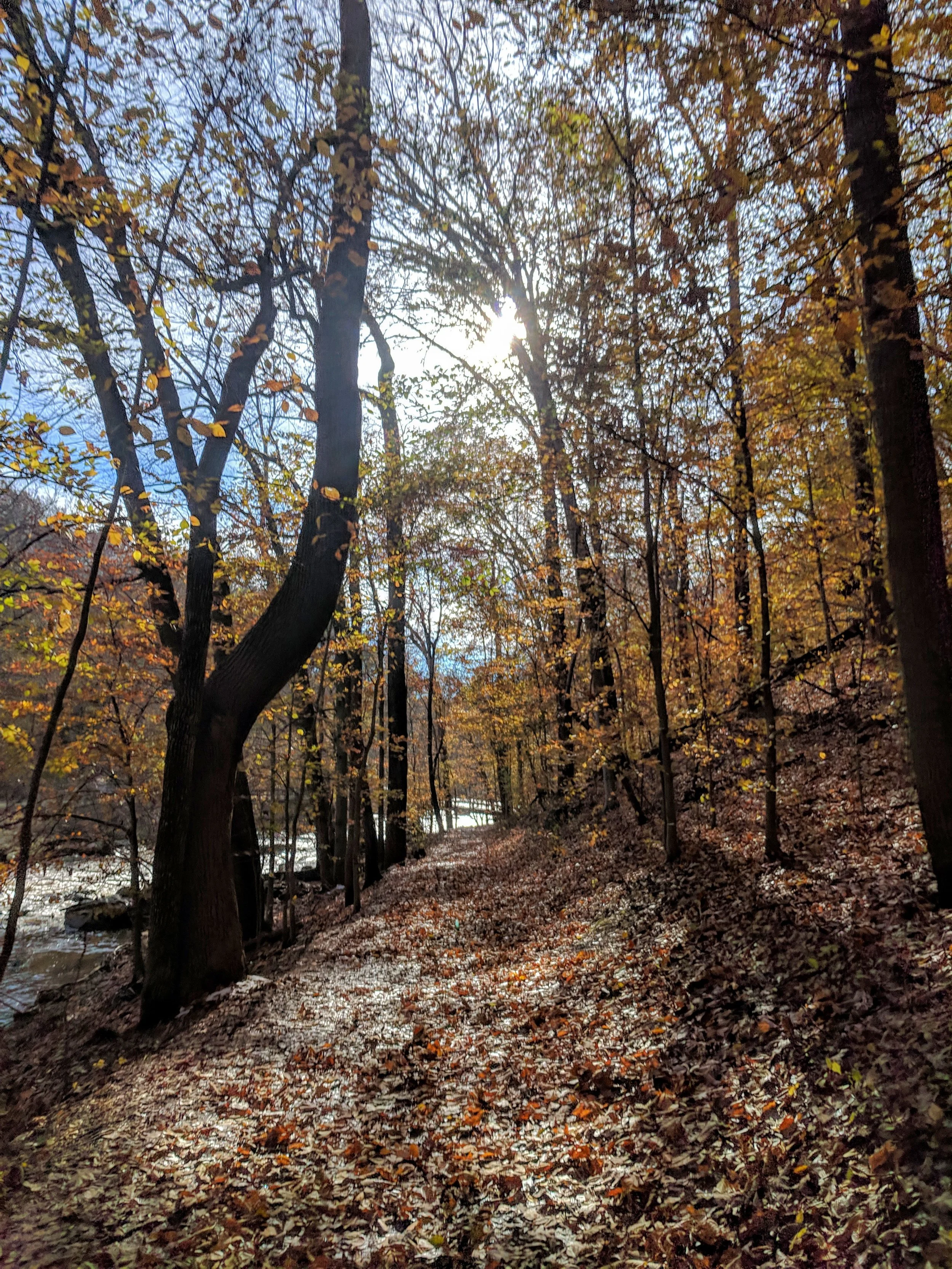 Rock Creek Park, District of Columbia; Nov 2018