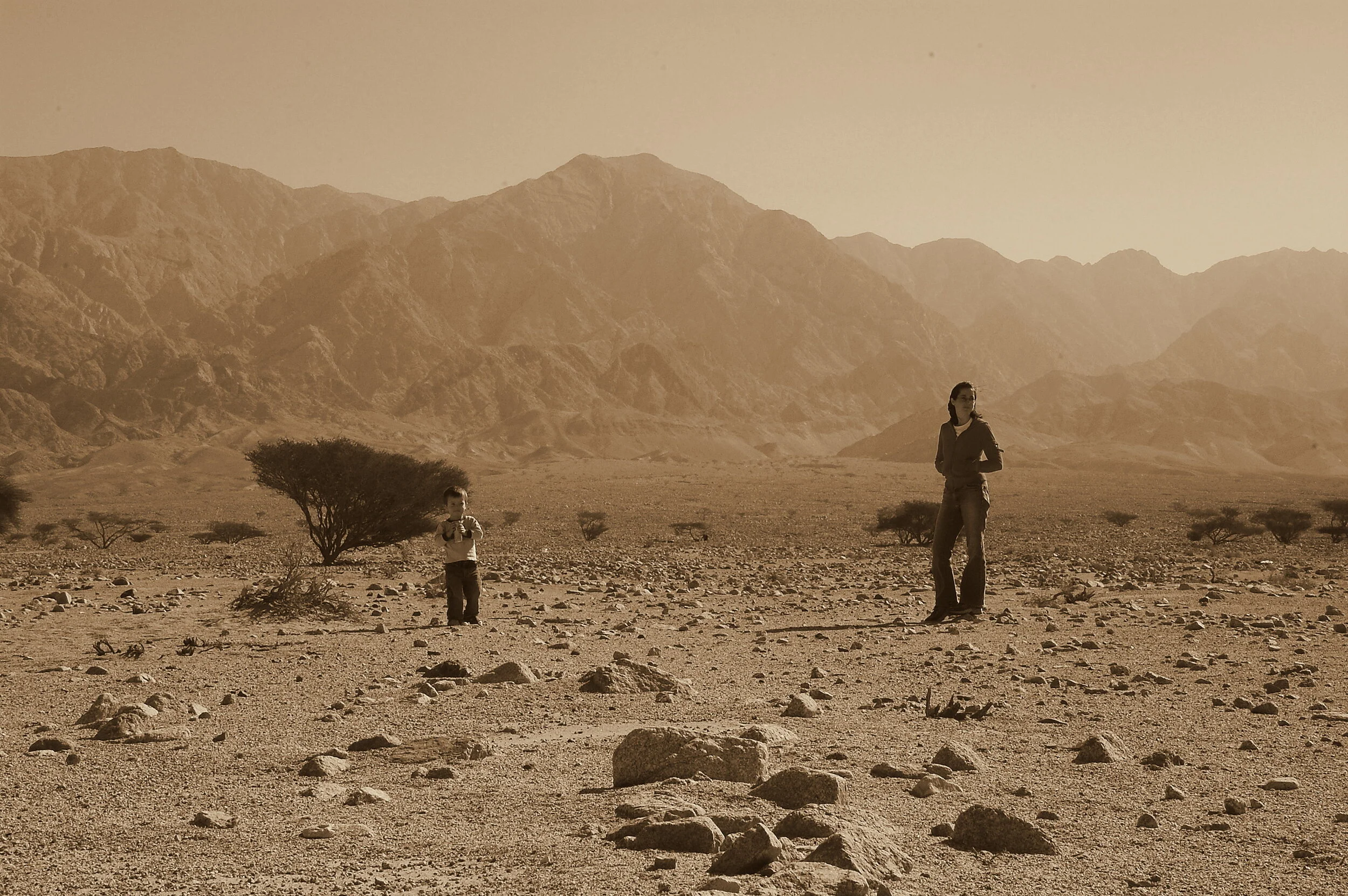  Wadi Araba, Jordan; 2008 