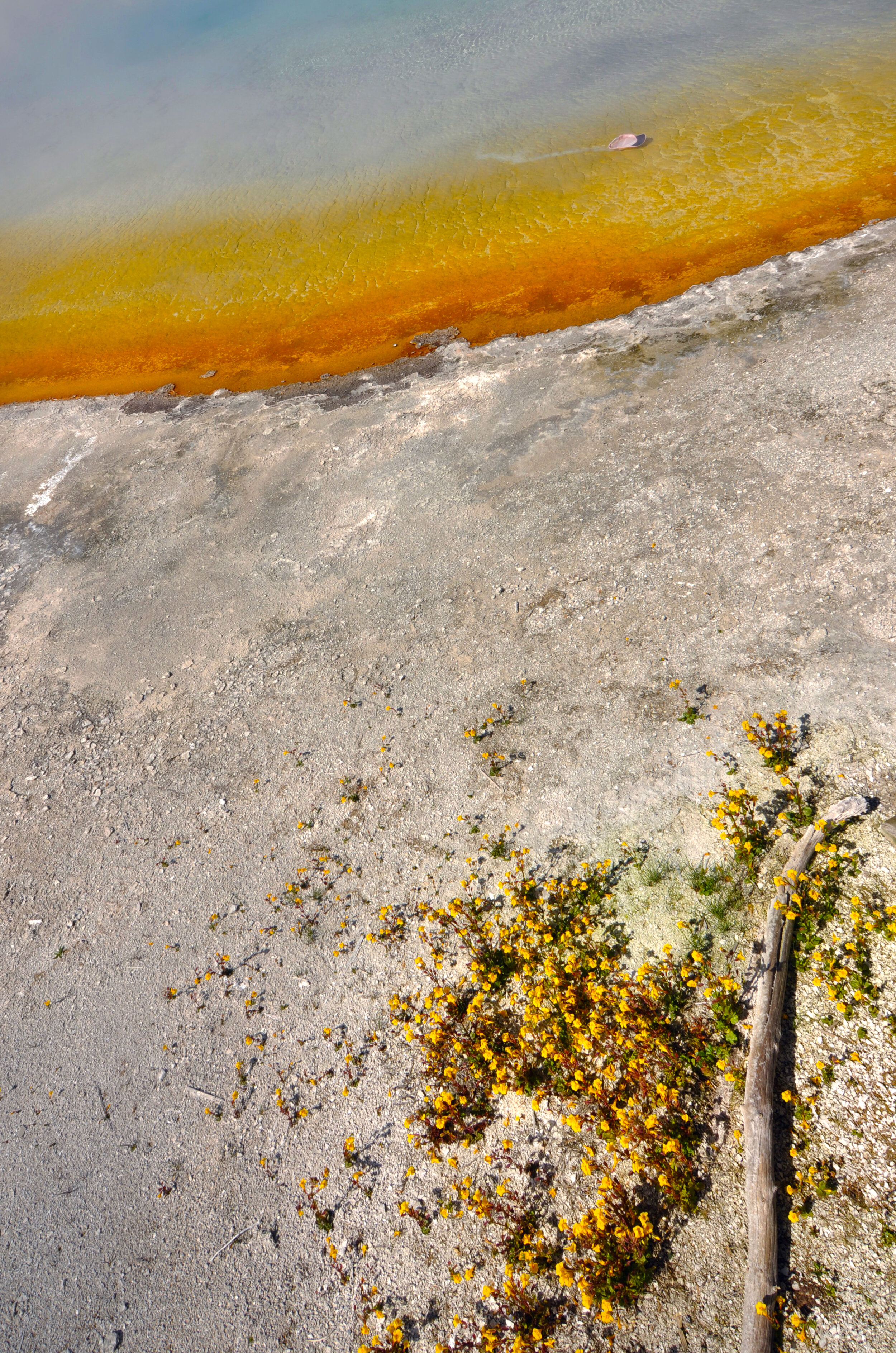  Yellowstone, Wyoming; 2011 