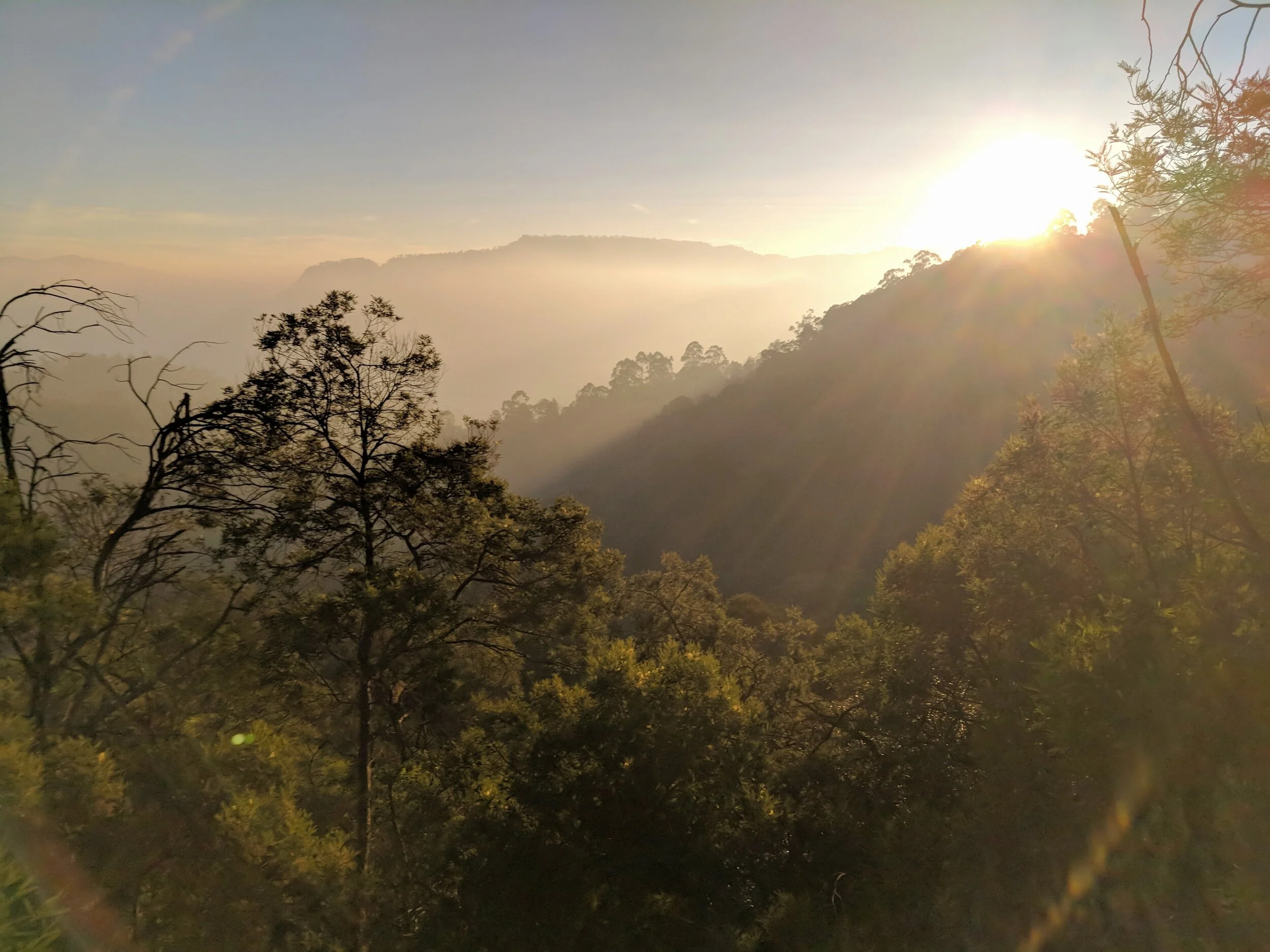  Kodaikanal, India; 2018 