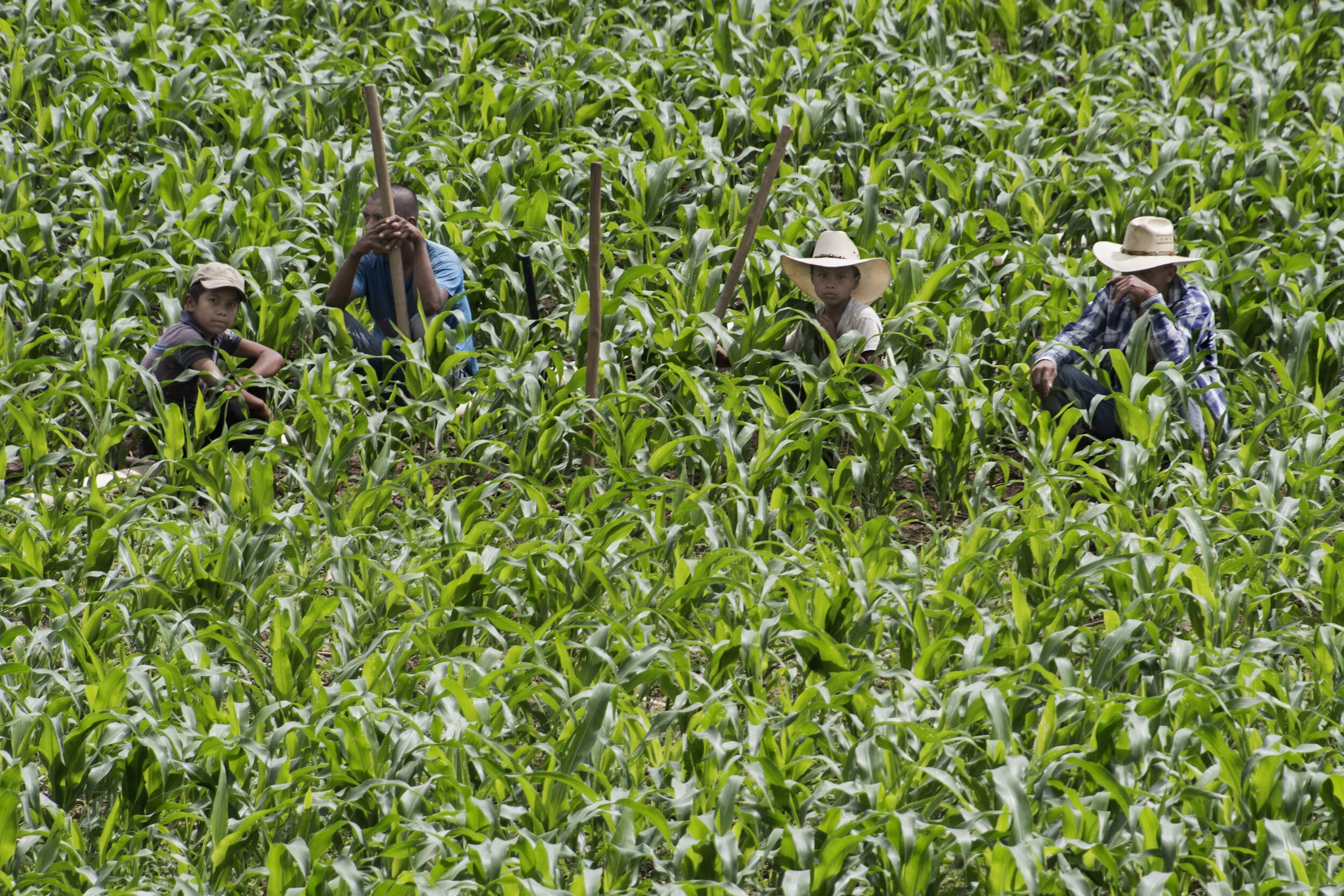  Camotan, Guatemala; 2015 