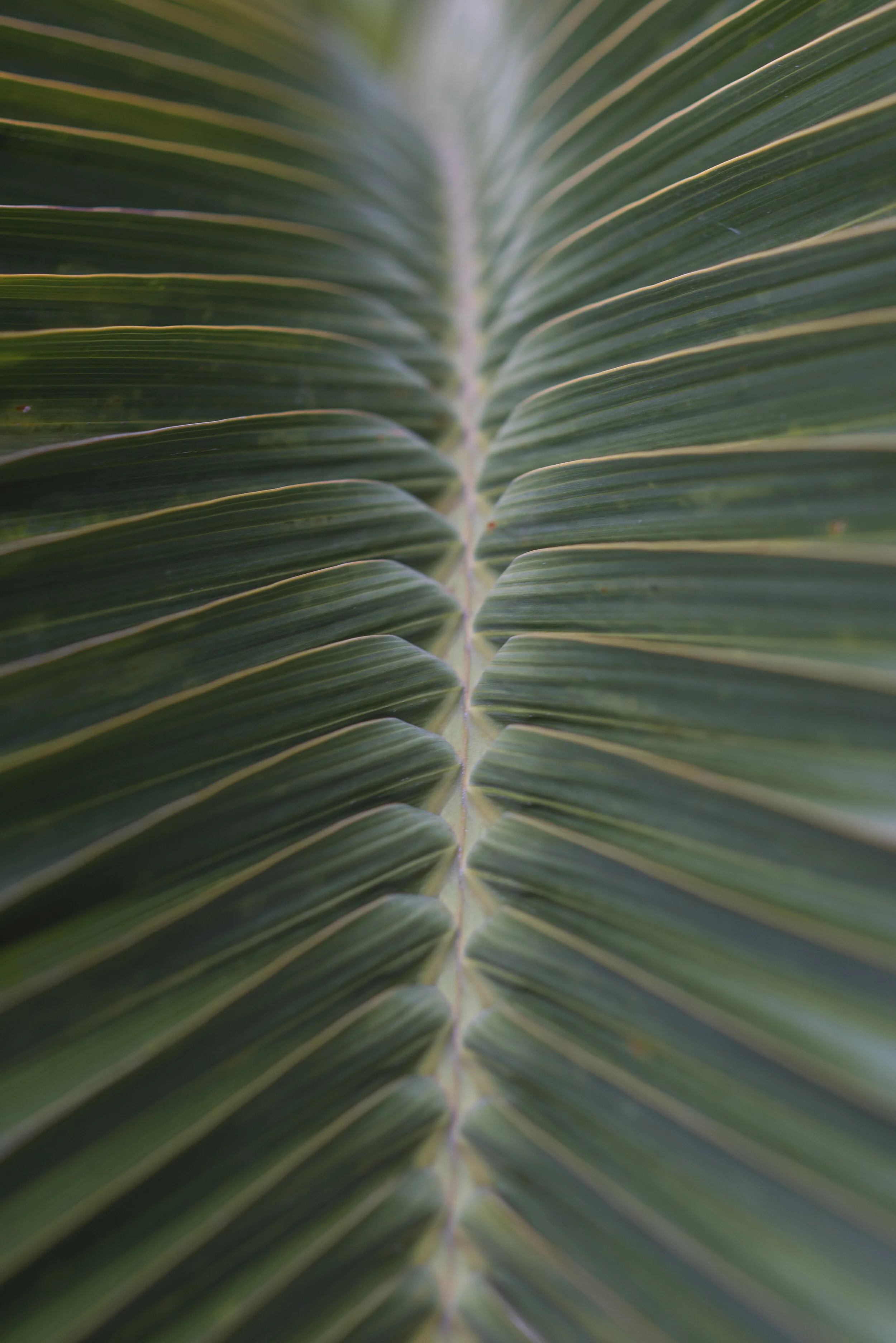  Antiguo Cuscatlan, El Salvador; 2017 