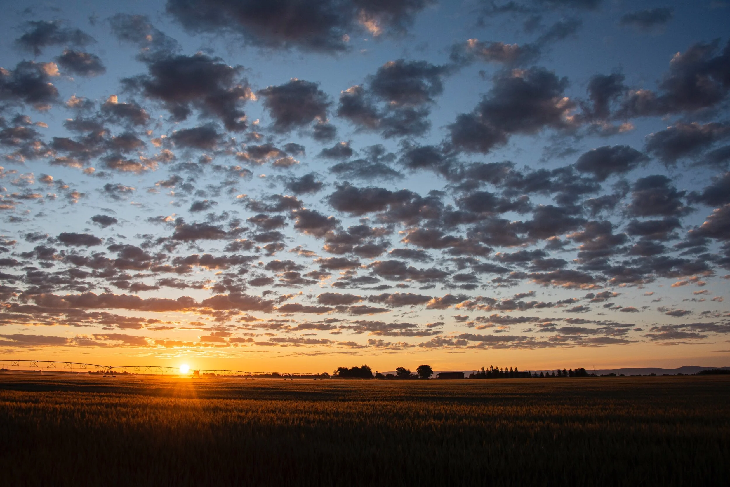  Blackfoot, Idaho; June 2020 
