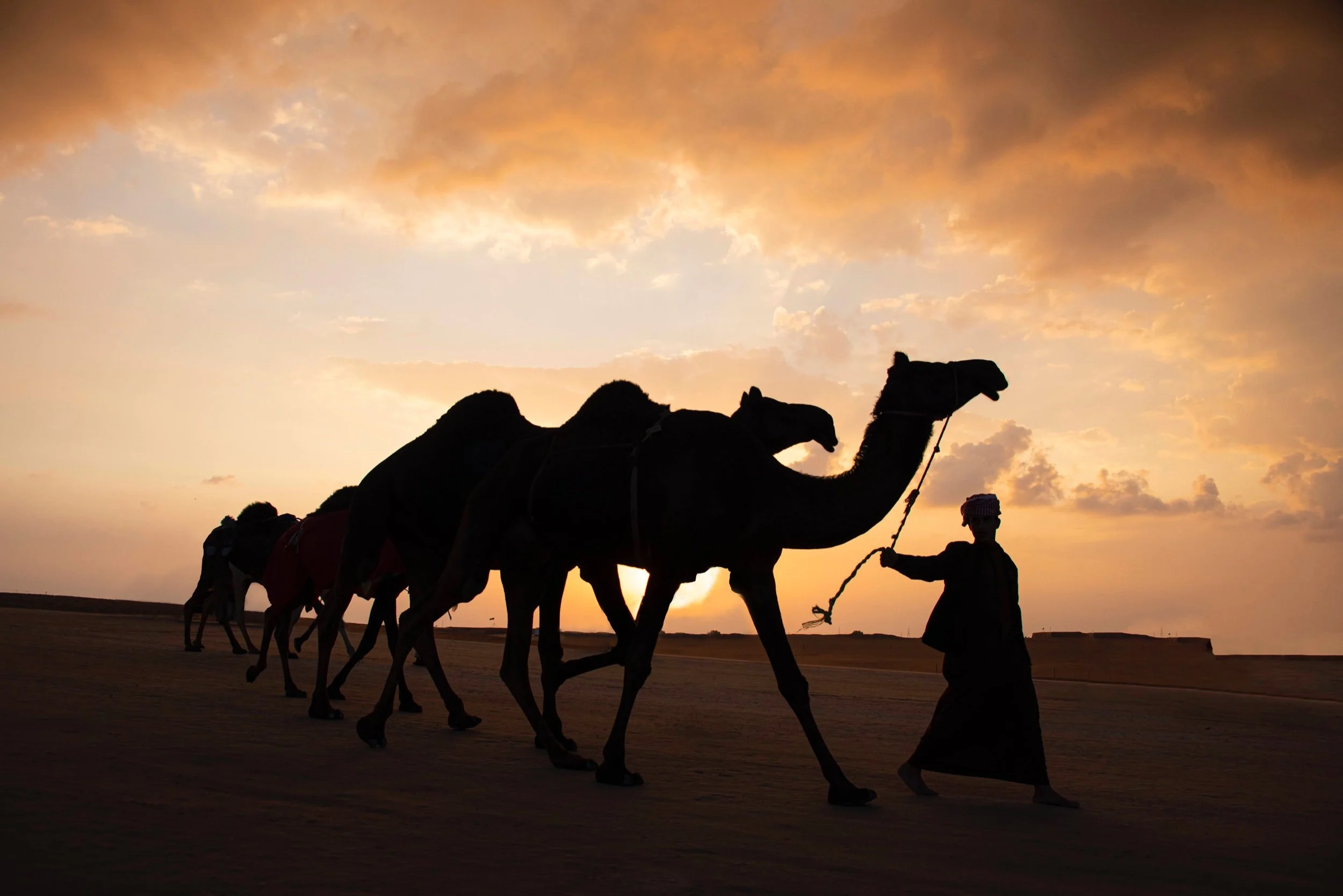 Sweet Action Memories (or, “Altitude Sickness, Temporary Blindness, Overpriced Camels, and Leonard Cohen”)