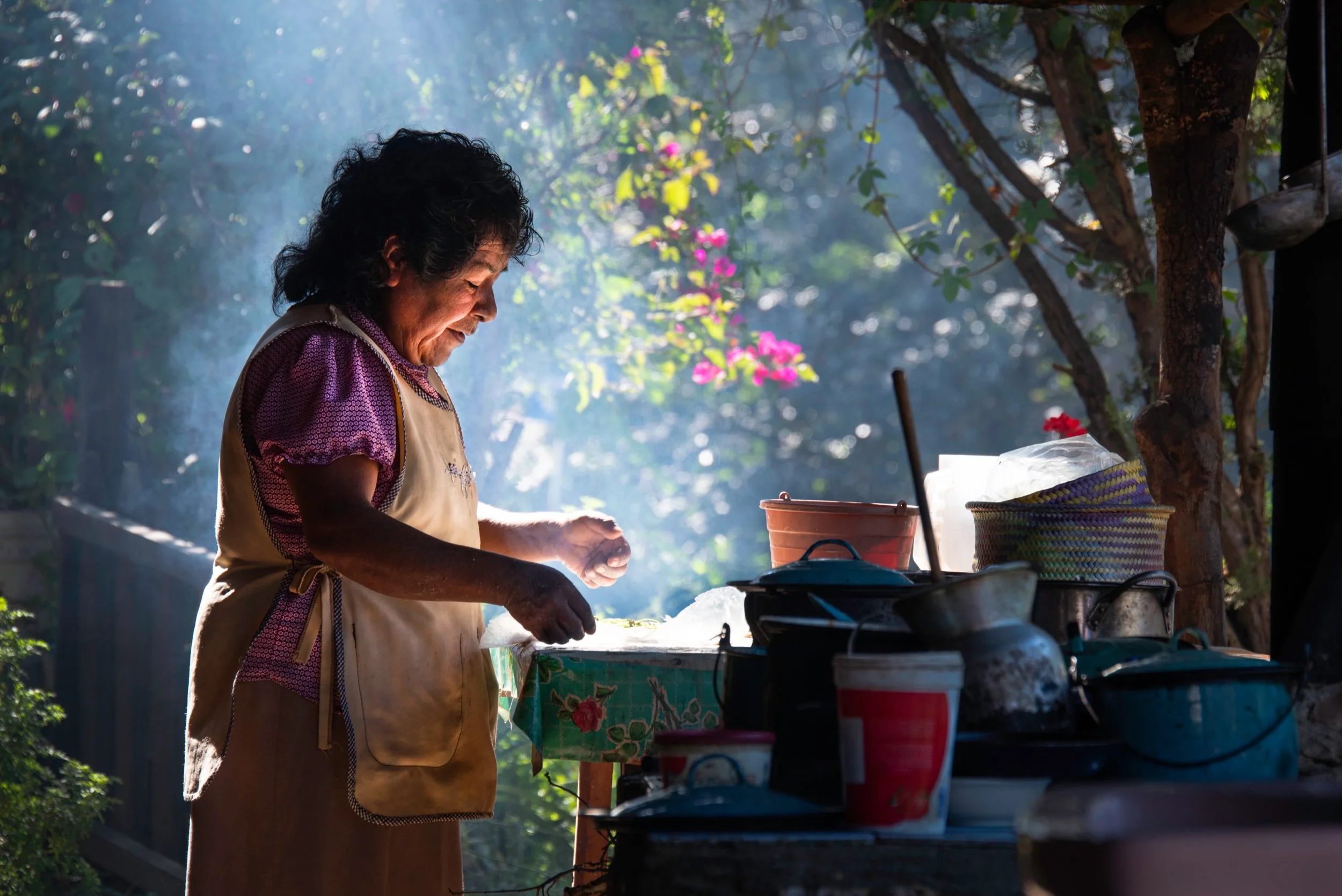 Dispatches from Mexico, Part One (or, “Jonahs and Whales”)