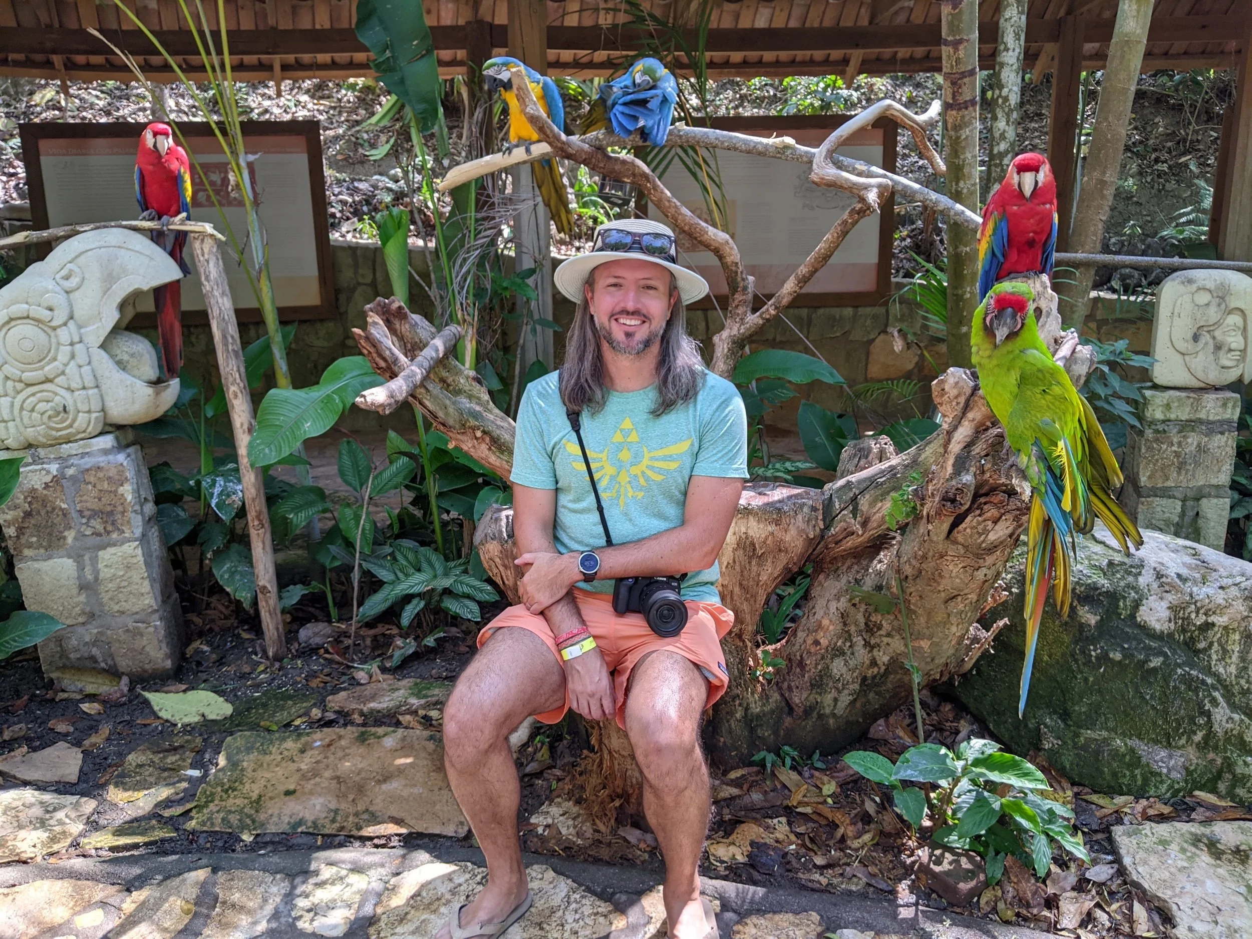 Pictures of Honduran Birds (and Cosmic Phish)