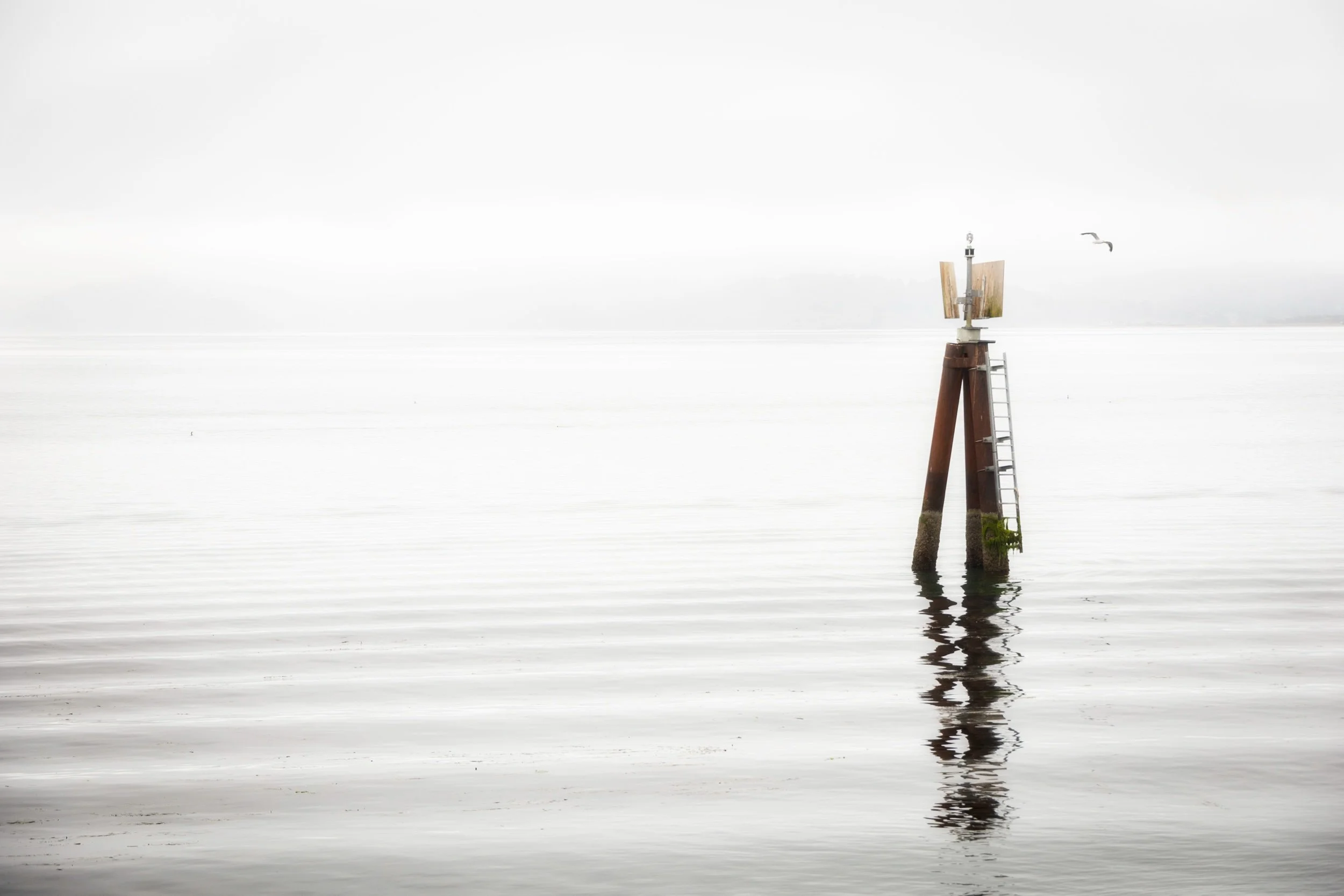  Garibaldi, Oregon; 2023 