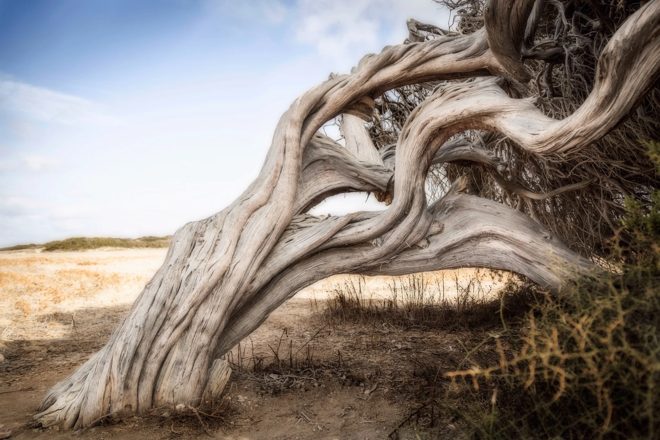  Paphos, Cyprus; October 2024 