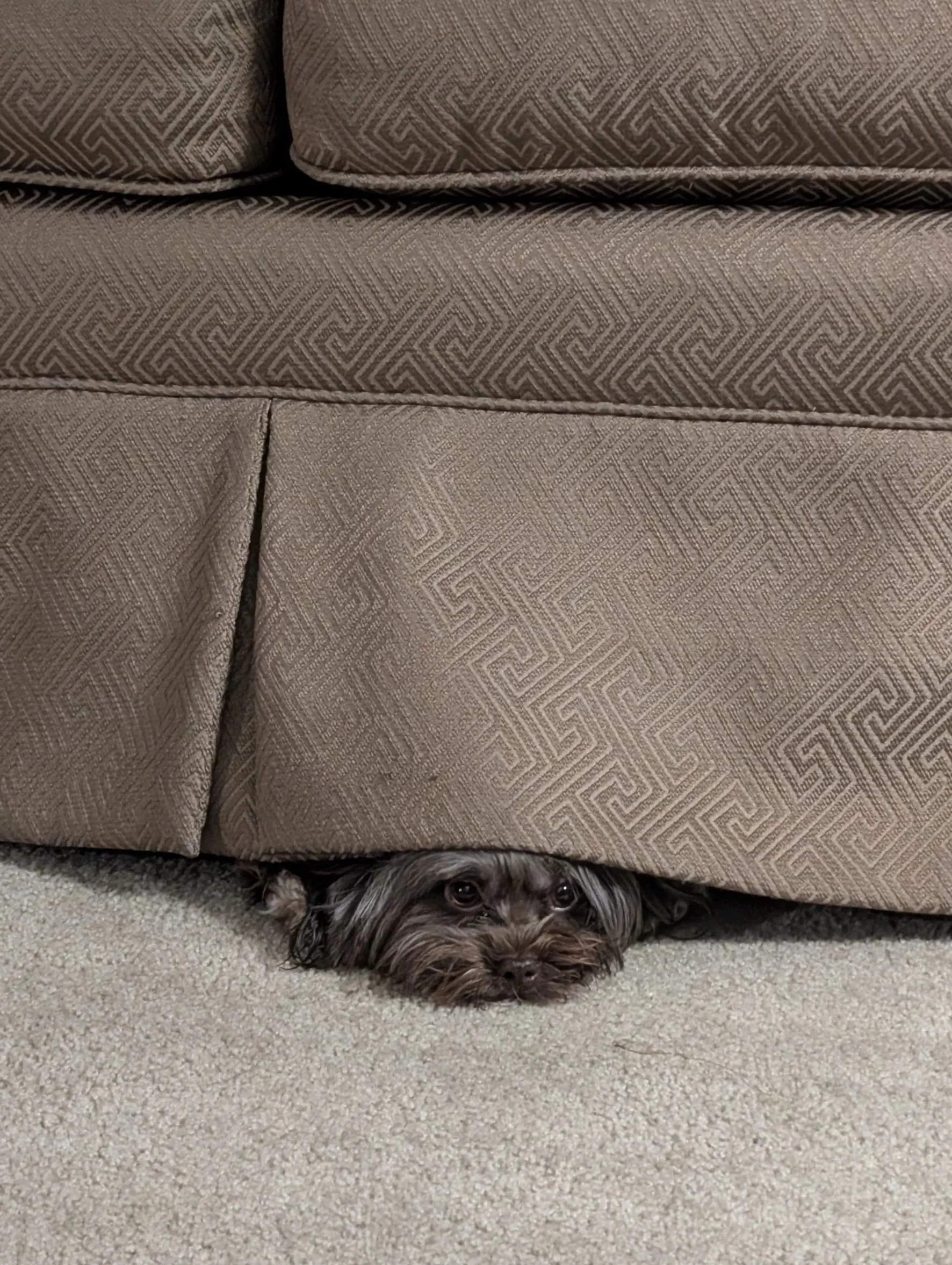 Ode to Now (or, "A Pretty Face, Time and Space, and Schrödinger's Grace")