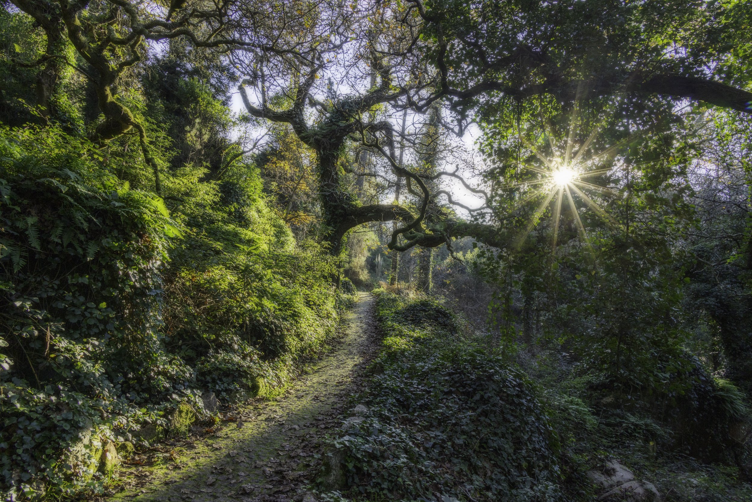  Sintra, Portugal; 2024 