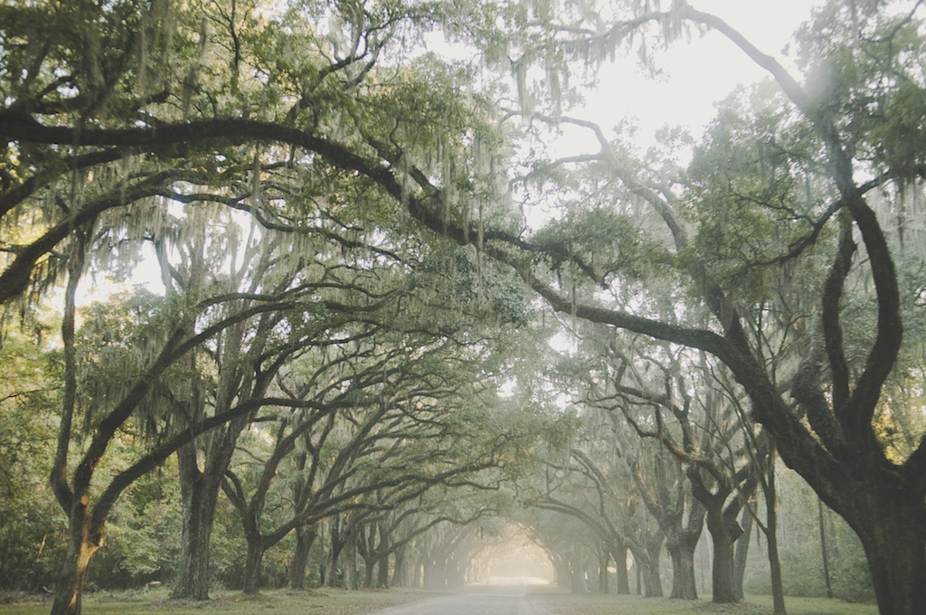 amber-and-david-ivory-and-beau-bridal-boutique-lytle-foto-savannah-wedding-dresses-savannah-wedding-planner-savannah-event-designer-savannah-weddings-wormsloe-wedding-cohens-retreat-wedding-indie-wedding-handmade-wedding-historic-.jpg