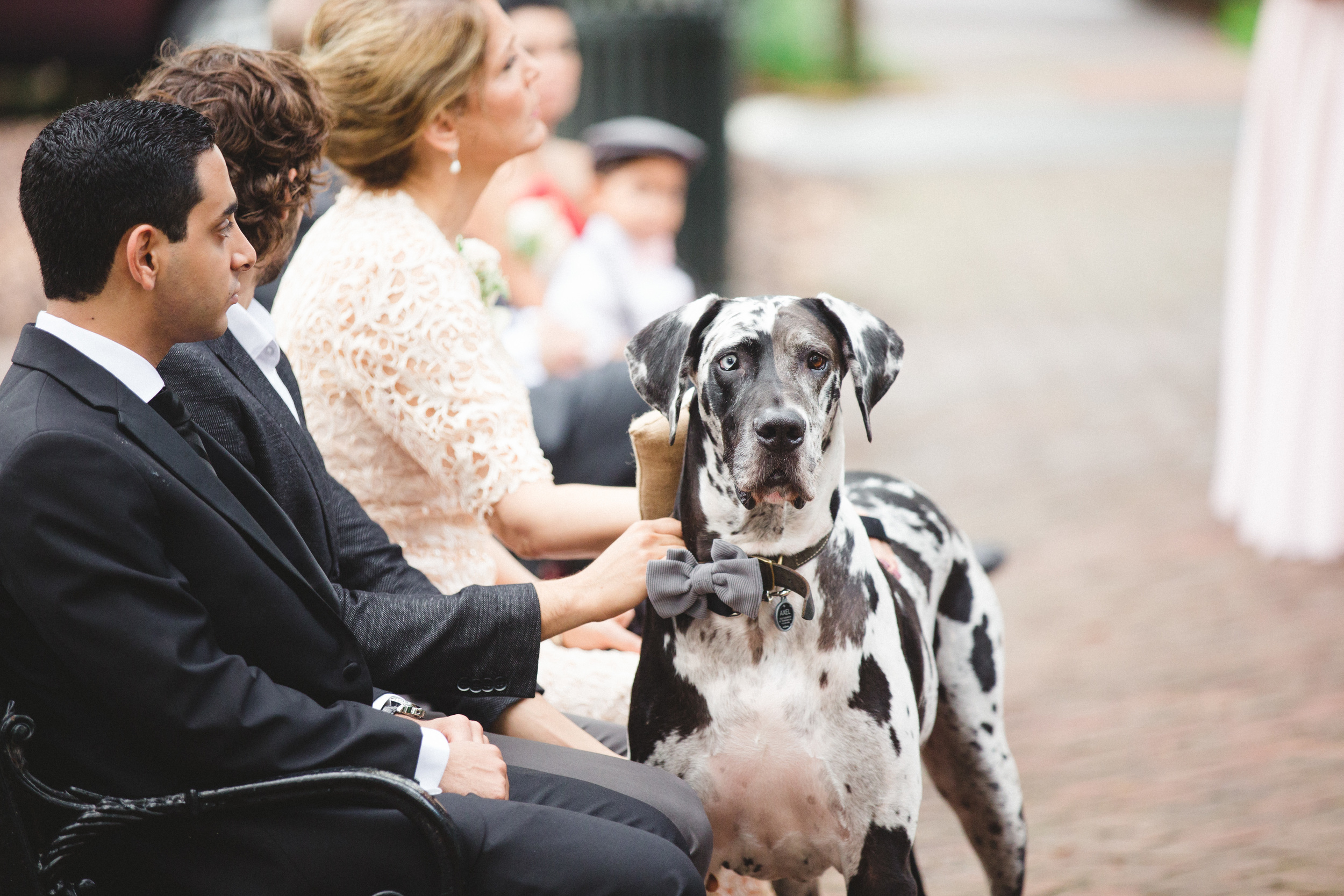 daniela-and-pedro-wedding-izzy-hudgins-photography-a-to-zinnias-whitfield-square-charles-h-morris-center-wedding-ivoyy-and-beau-bridal-boutique-dorie-hayley-paige-savannah-wedding-planner-savannah-bridal-boutique-savannah-weddings-27.jpg