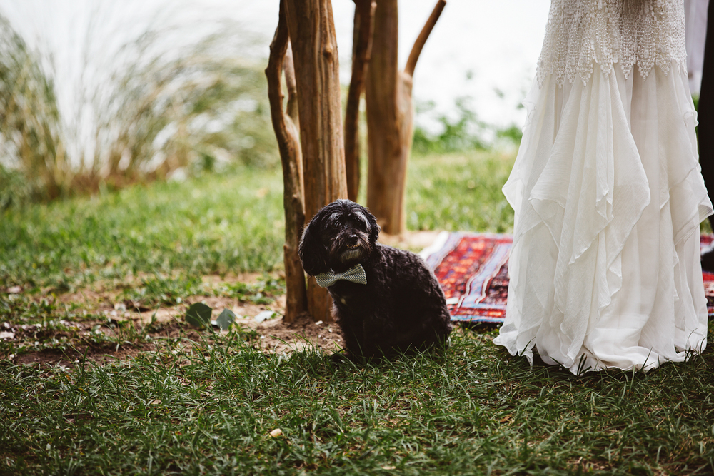 katherine-dalton-photography-saint-isabel-wedding-dress-handmade-wedding-dress-indy-wedding-dress-ivory-and-beau-bridal-boutique-savannah-wedding-dresses-savannah-bridal-boutique-savannah-wedding-gowns-5.jpg