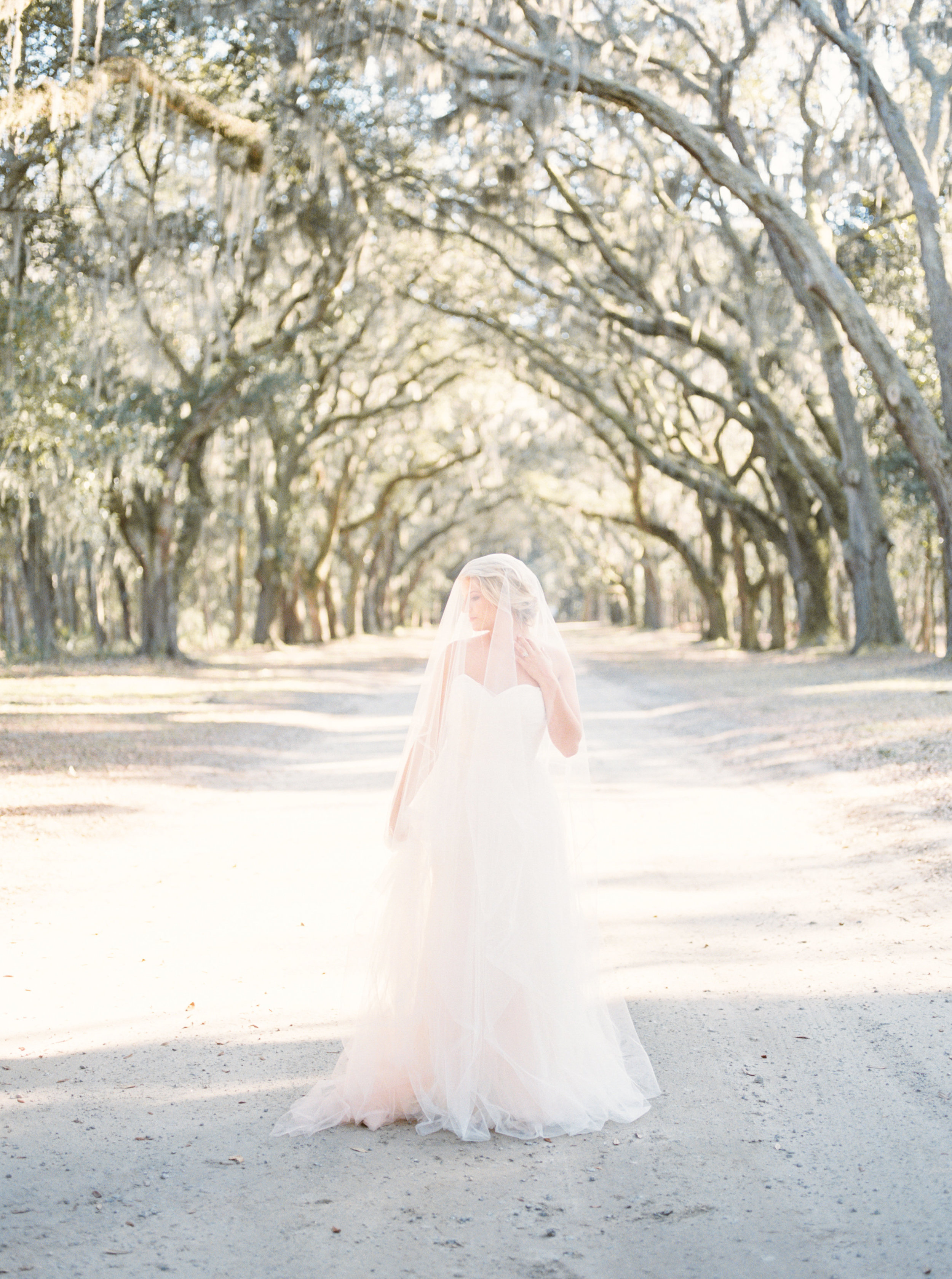 ivory-and-bliss-photography-wormsloe-wedding-savannah-wedding-ruffled-blog-ivory-and-beau-bridal-boutique-savannah-bridal-boutique-savannah-bridal-gowns-blush-by-hayley-paige-candi-savannah-wedding-planner-savannah-florist-the-happy-bloom-20.jpg