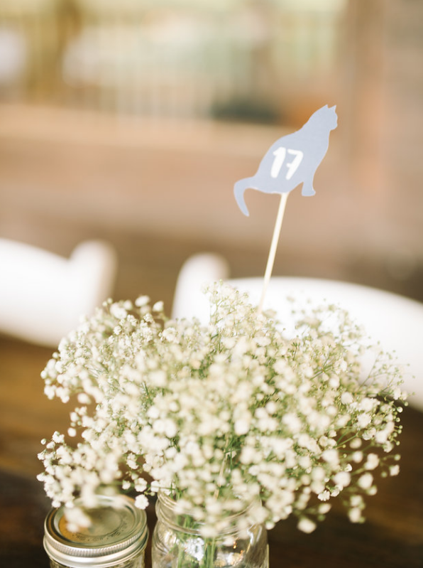cat-lover-wedding-how-to-incorporate-cats-into-your-wedding-ivory-and-beau-savannah-wedding-planner-savannah-event-designer-savannah-wedding-florist-cat-table-numbers-diy-wedding-rustic-wedding-pineola-farms.png