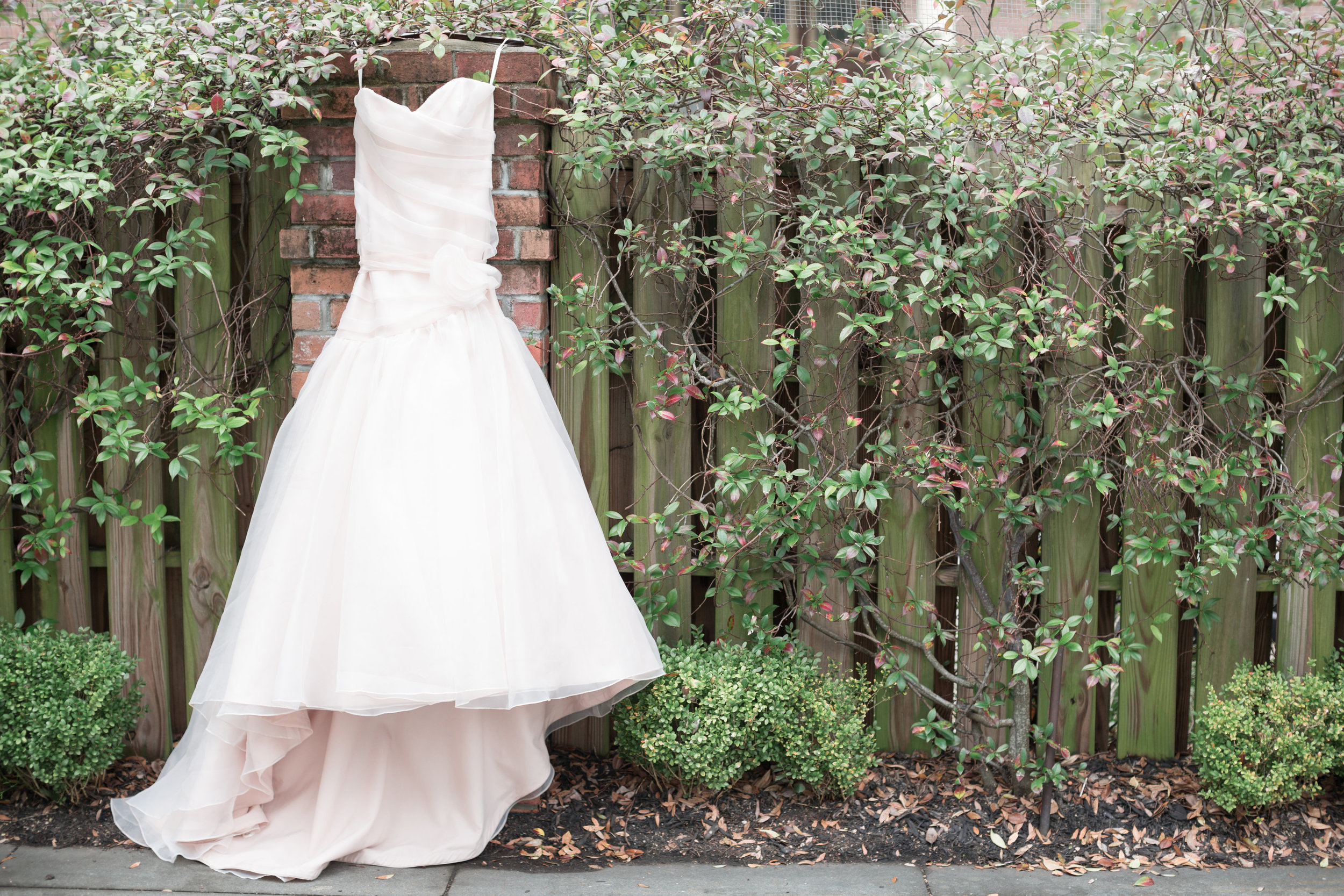 larger-than-life-events-lyndi-j-photography-blush-by-hayley-paige-blush-wedding-dress-blush-mermaid-coleman-hall-wedding-savannah-bridal-boutique-savannah-wedding-dresses-savannah-wedidng-gowns-savannah-event-planner-savannah-bridal-shop-1.jpg