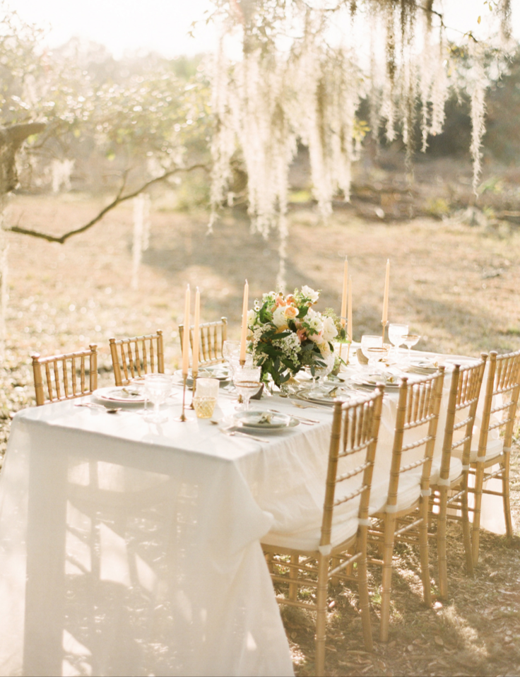 the-happy-bloom-wormsloe-elopement-wormsloe-wedding-ivory-and-beau-bridal-boutique-savannah-bridal-boutique-savannah-wedding-planner-sarah-seven-blushing-a-lowcountry-wedding-design-studio-south-6.png