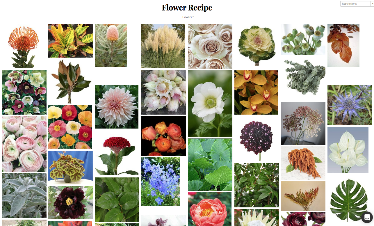ivory-and-beau-savannah-florist-savannah-wedding-flowers-savannah-wedding-planner-savannah-event-designer-how-to-pick-your-wedding-colors-choosing-your-wedding-colors-flower-recipe-savannah-wedding-flowers.png