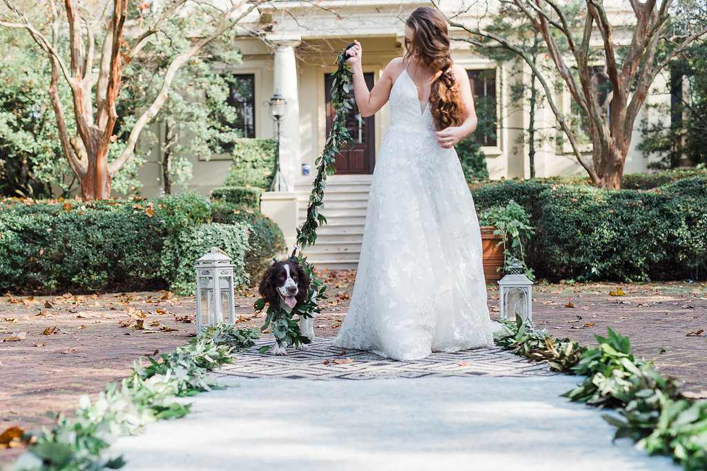 dog-ringbearer-dogs-in-weddings-dog-flower-collar-dog-flower-leash-ivory-and-beau-blush-by-hayley-paige-fleur-de-lis-savannah-bridal-boutique-savannah-bridal-shop-savannah-wedding-dresses-ships-of-the-sea-wedding-inspiration.JPG