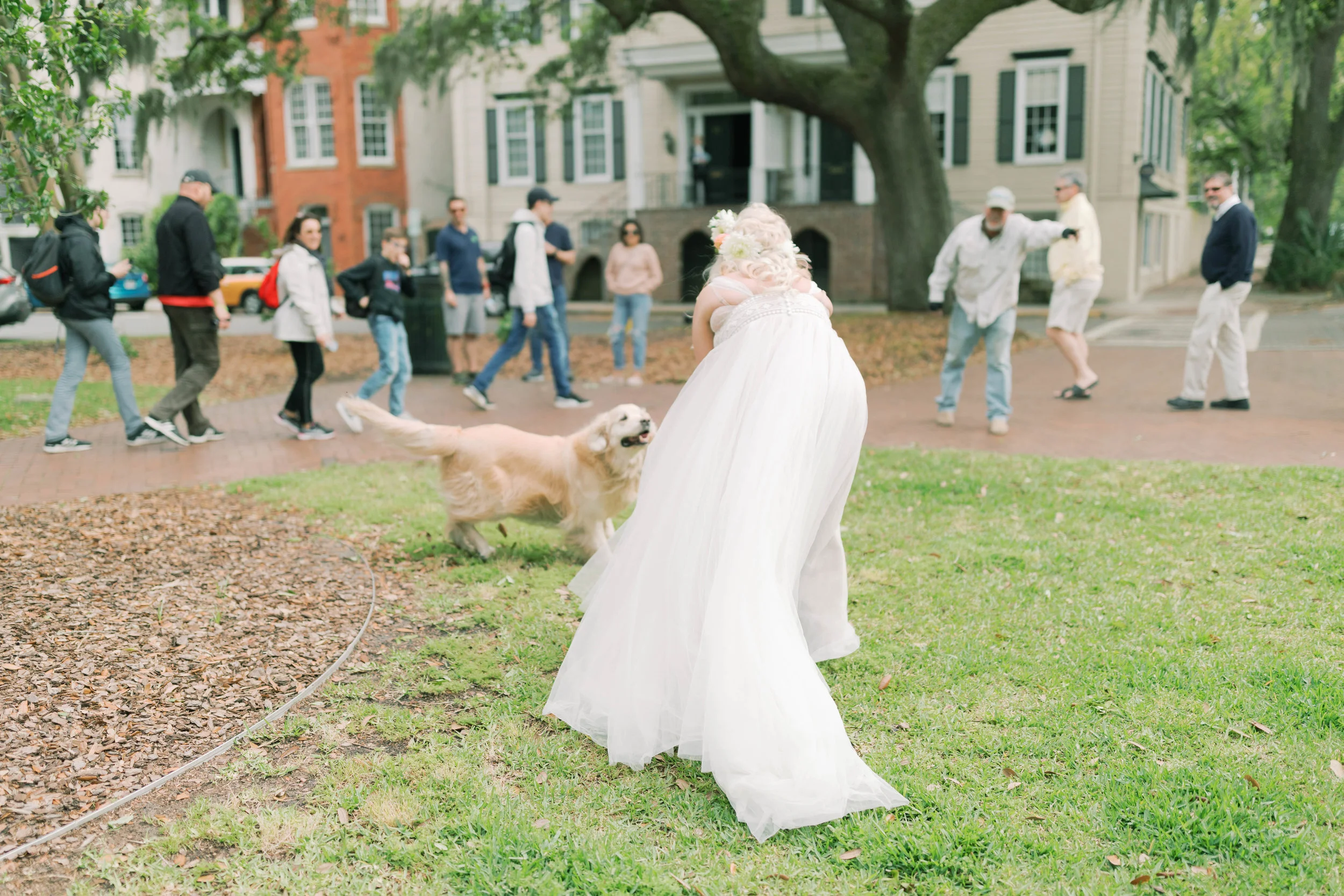 ivory-and-beau-wedding-holly-and-mike-how-to-incorporate-dogs-into-your-wedding-day-pastel-wedding-inspo-savannah-wedding-inspiration-bright-wedding-flowers-southern-wedding-style-savannah-classic-wedding-flower-crown-wedding-classic-southern-wedding-savannah-wedding-planner-savannah-wedding-florist-savannah-wedding-dress-shop