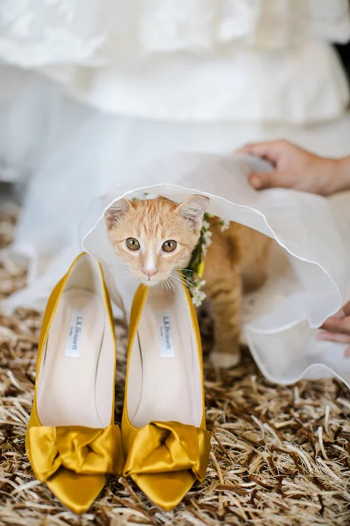 Cat 2025 bridesmaid dress
