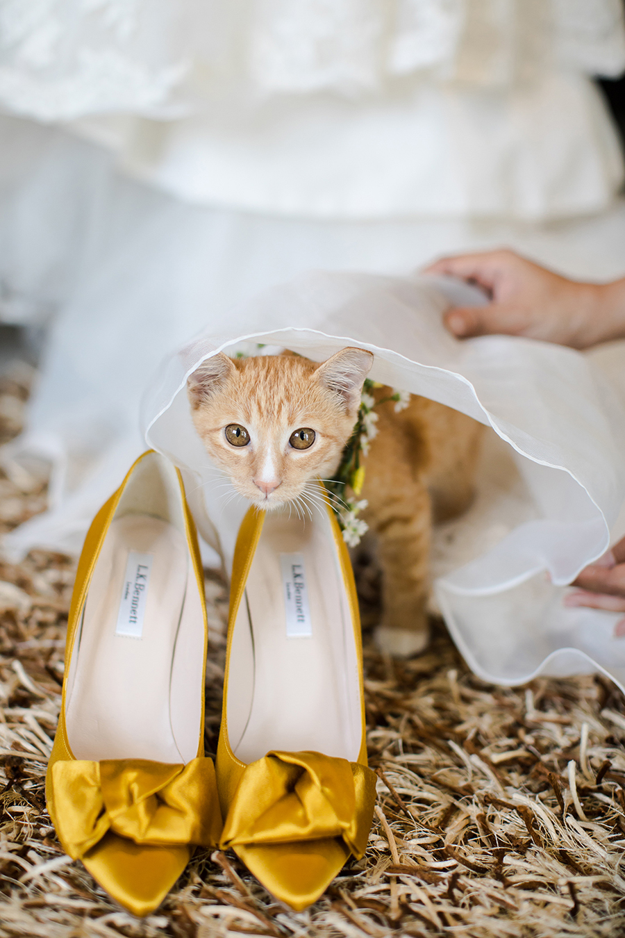 ivory-and-beau-savannah-wedding-bridal-boutique-southern-wedding-cats-5ef5d_14-aleenta-resort-phuket-wedding-cat-themed-wedding.jpg