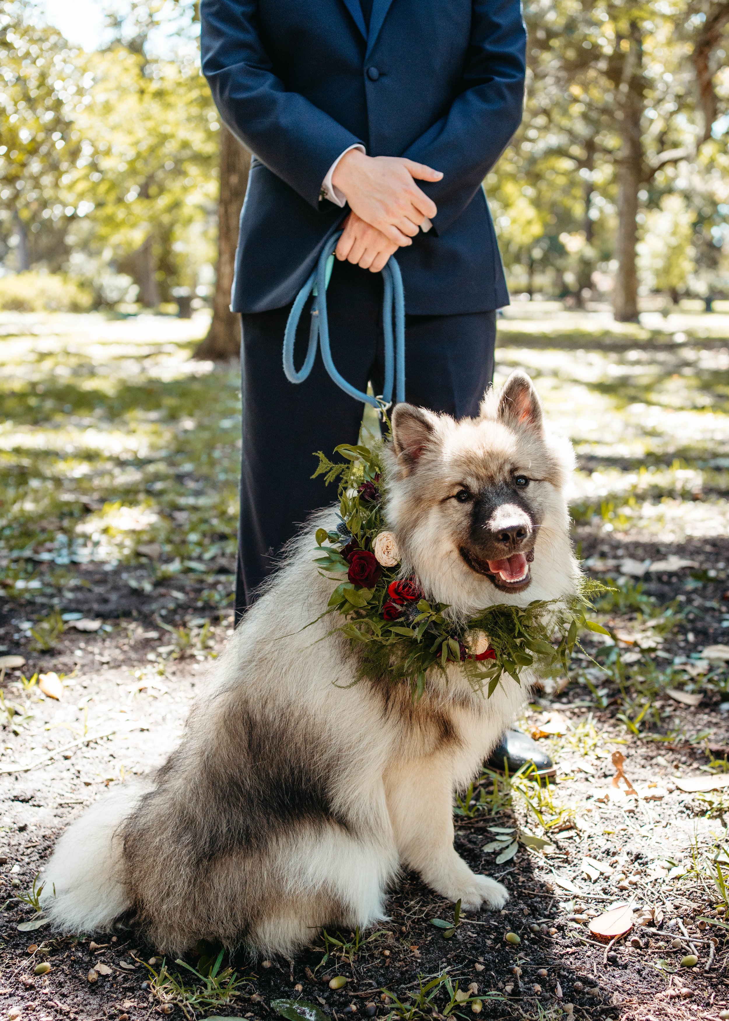dog floral collar for wedding