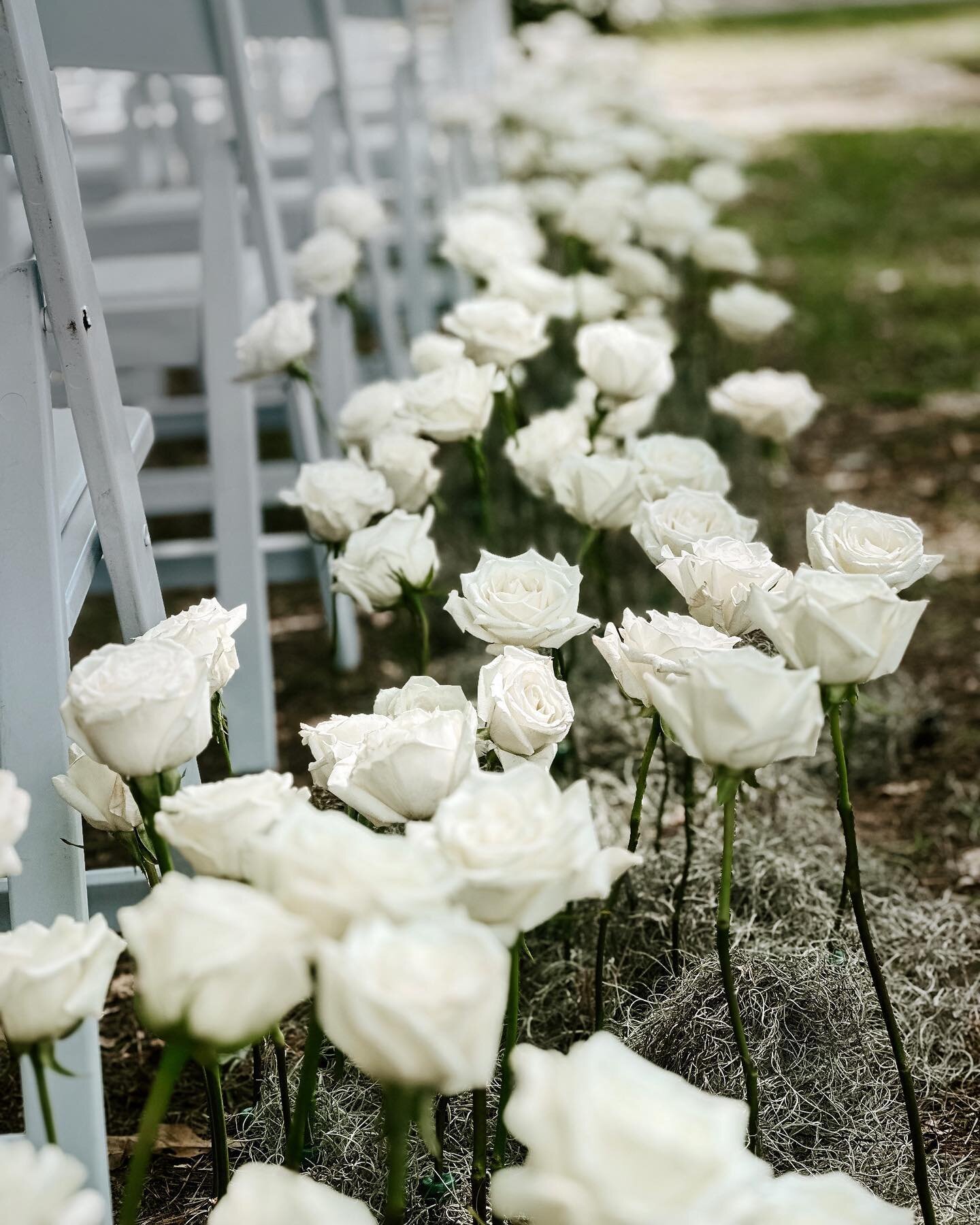So about last weekend&hellip; this is&hellip;. 400 roses water picked into the ground 🪛 
⠀⠀⠀⠀⠀⠀⠀⠀⠀
If you&rsquo;re new around here, hi 👋🏽 did you know we have a team of wedding planners &amp; florists!? Amanda &amp; Logan&rsquo;s wedding at the @m