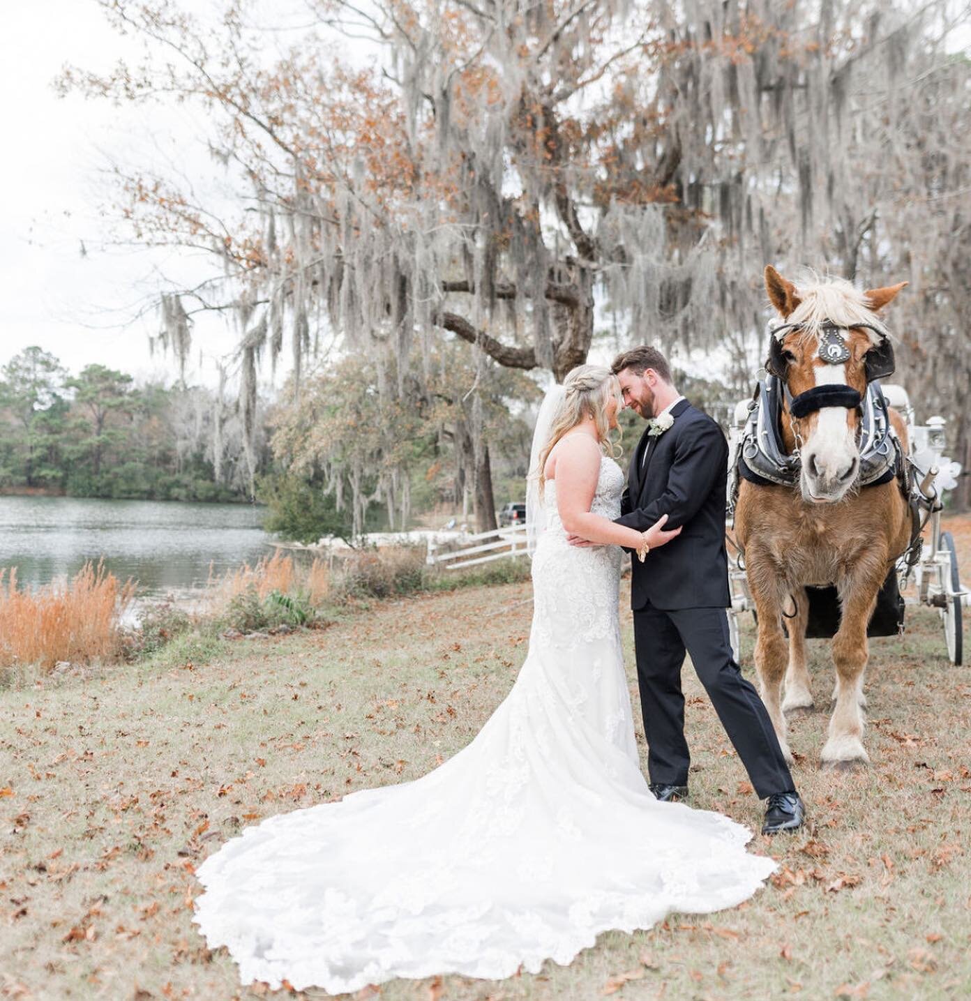 #iandbbride LeeAnna and Connor&rsquo;s wedding with a horse carriage in a secret garden giving me all the storybook fairytale romance vibes 📖👸🏼
⠀⠀⠀⠀⠀⠀⠀⠀⠀
vendor credits👇🏽
photographer: @bronstonphotography 
dress: @maggiesotterodesigns
⠀⠀⠀⠀⠀⠀⠀⠀⠀