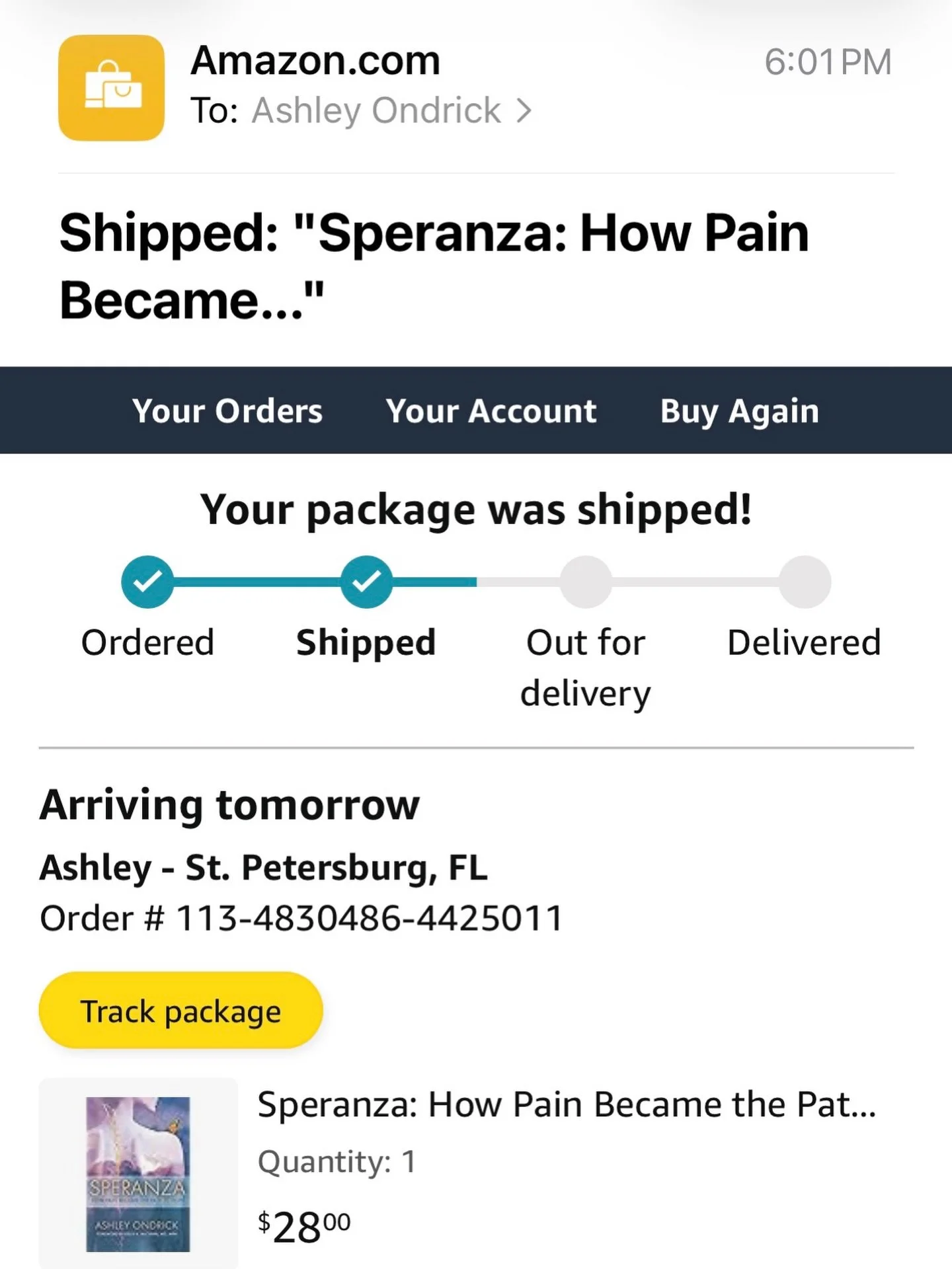 Yes, I pre-ordered a copy of my own book from Amazon, because I wanted to be a part of the experience when it launches tomorrow!! And it was pretty surreal seeing this email come through my inbox! Drop a 💌 if you received this email today!! And if y