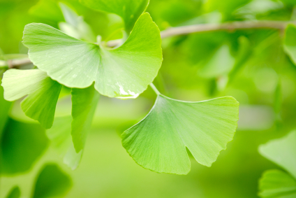 Kenton Wellness cooperative's professional counseling