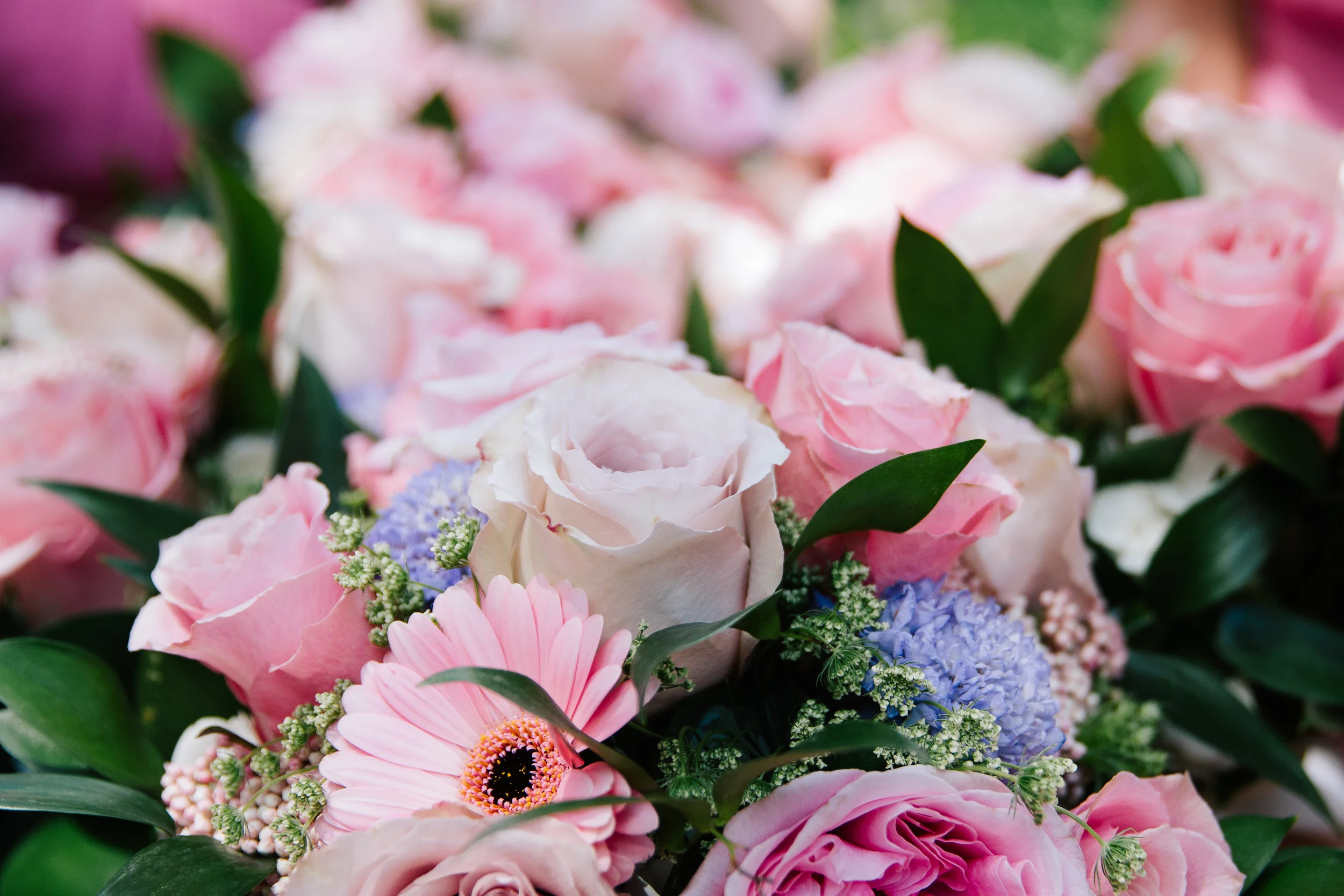 details-16.jpg