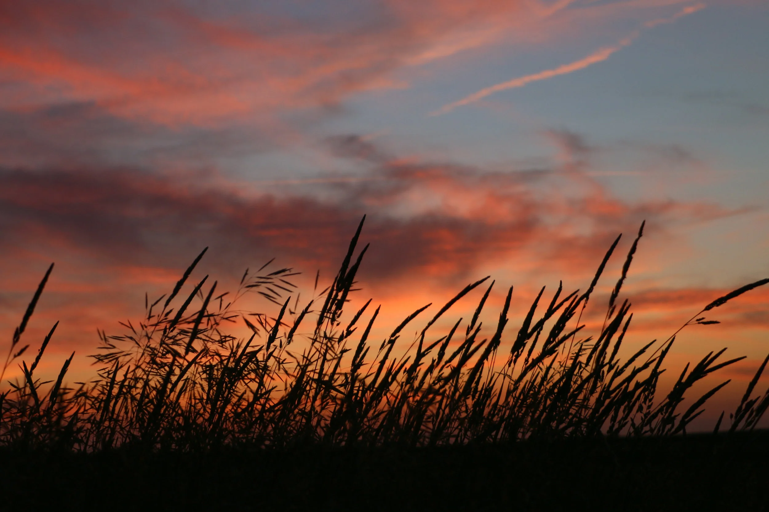 g co sunset-8.jpg