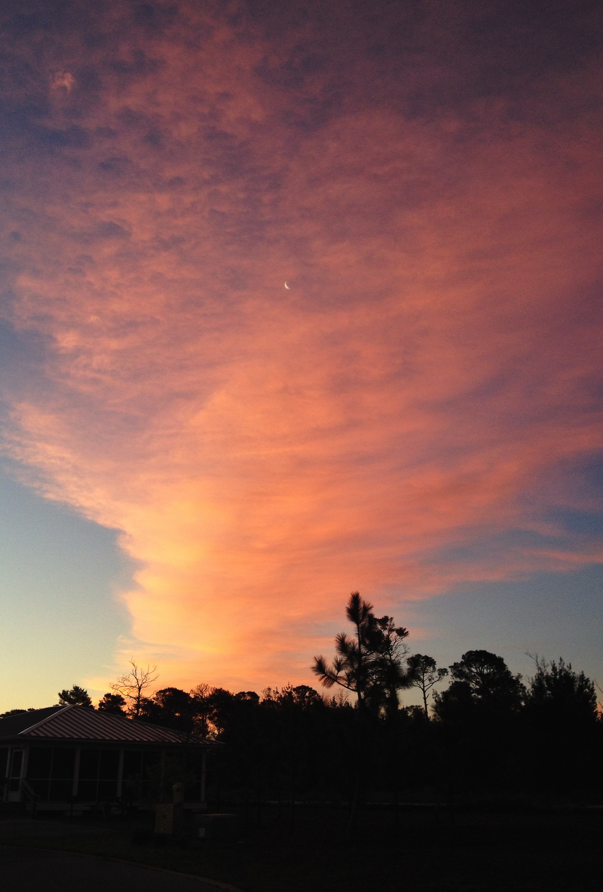  Sunrise in South Carolina. March 16, 2015. iPhone 4. 