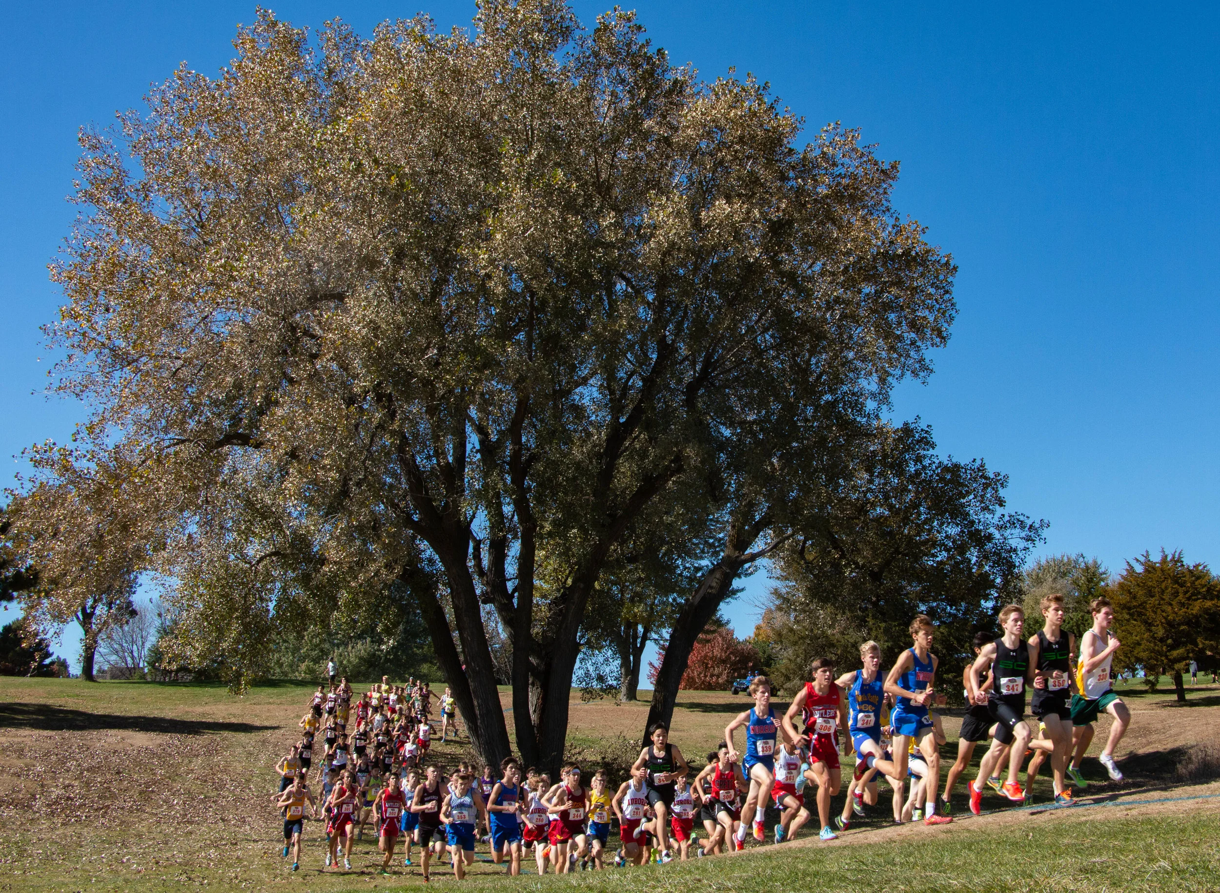  Participants in the boys Class B heat climb up a small hill at the NSAA State Cross Country Championships at the Kearney Country Club on Oct. 19, 2018. 